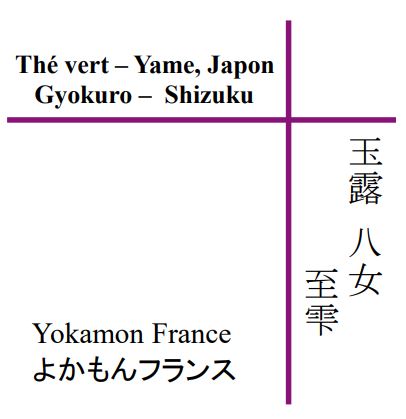 Gyokuro "Shizuku", thé vert de Yame