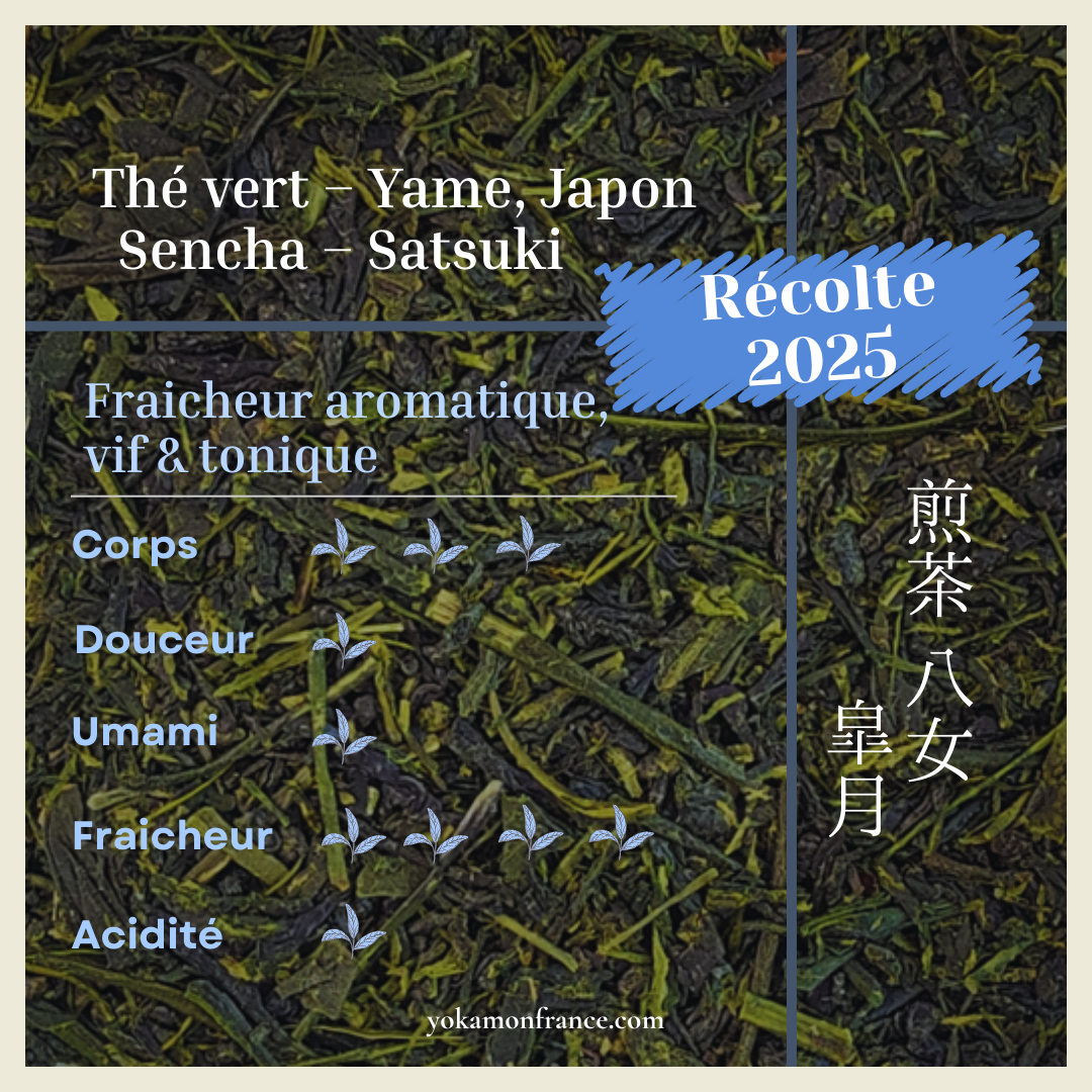 Sencha "Satsuki" 2025, thé vert de Yame