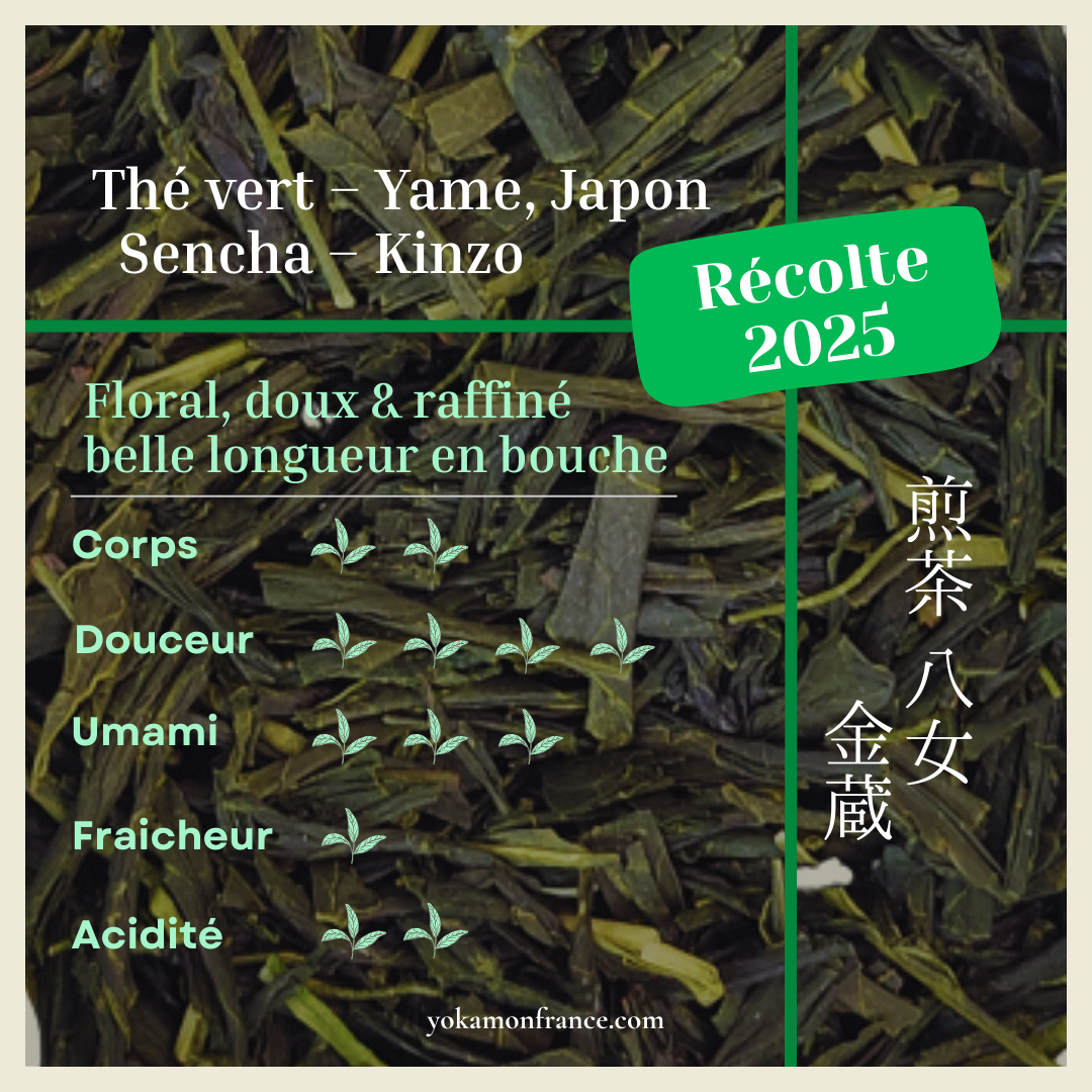 Sencha "Kinzo" 2025, thé vert de Yame