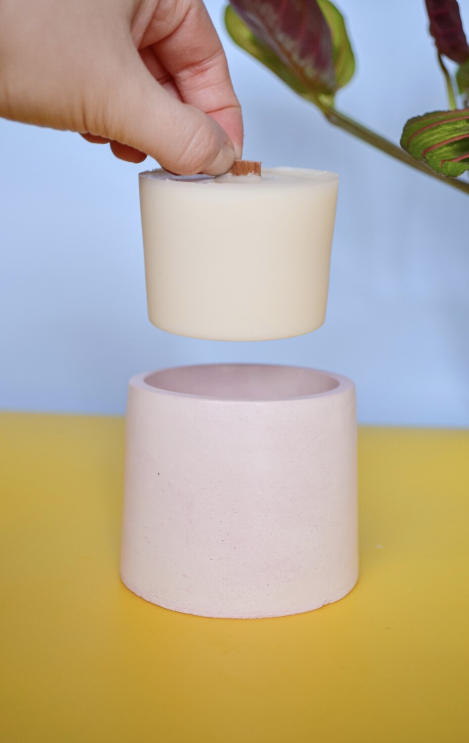 Apvalios žvakės papildymas (vaško įdėklas)