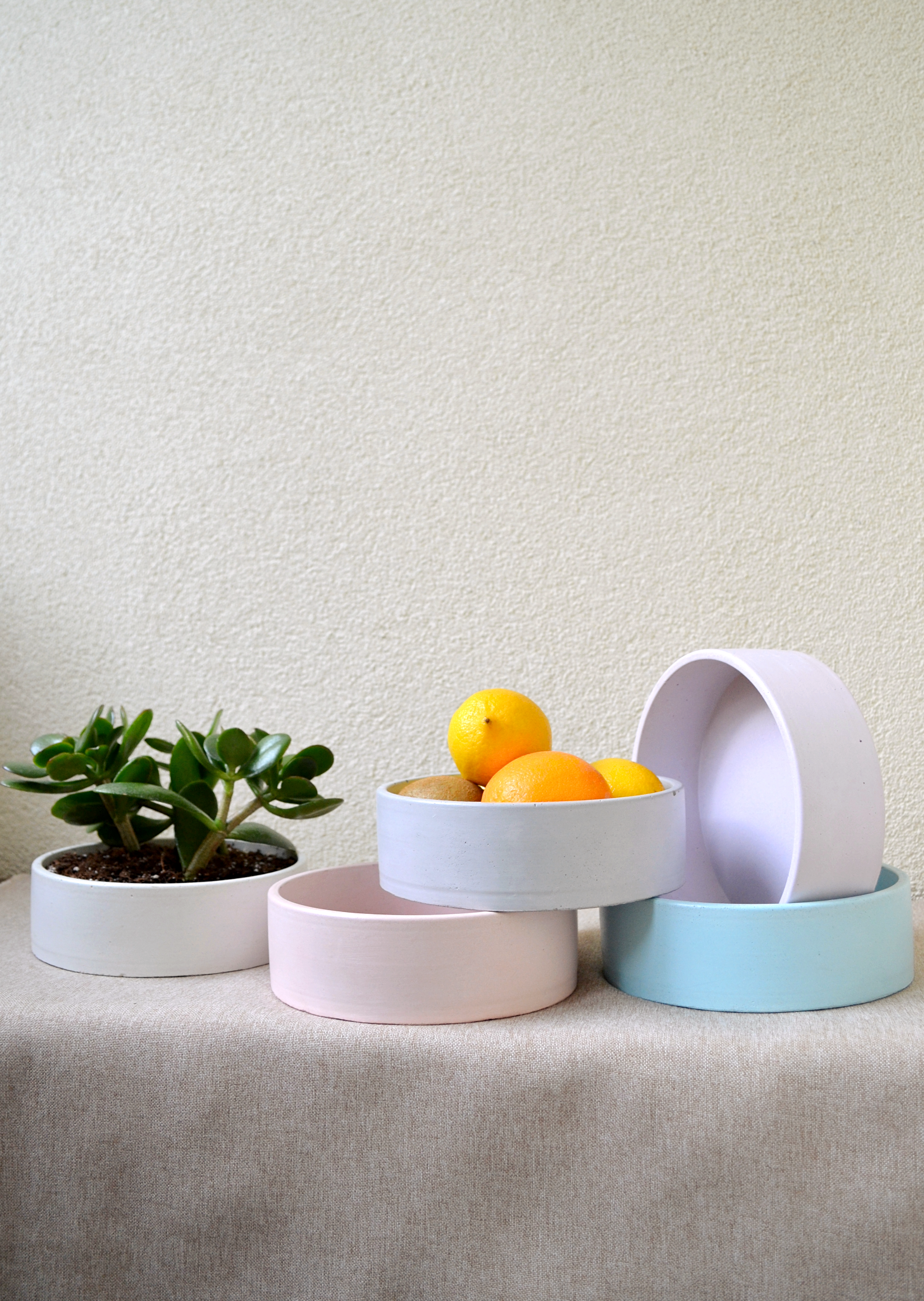 Betono dubuo sukulentams/ vaisiams