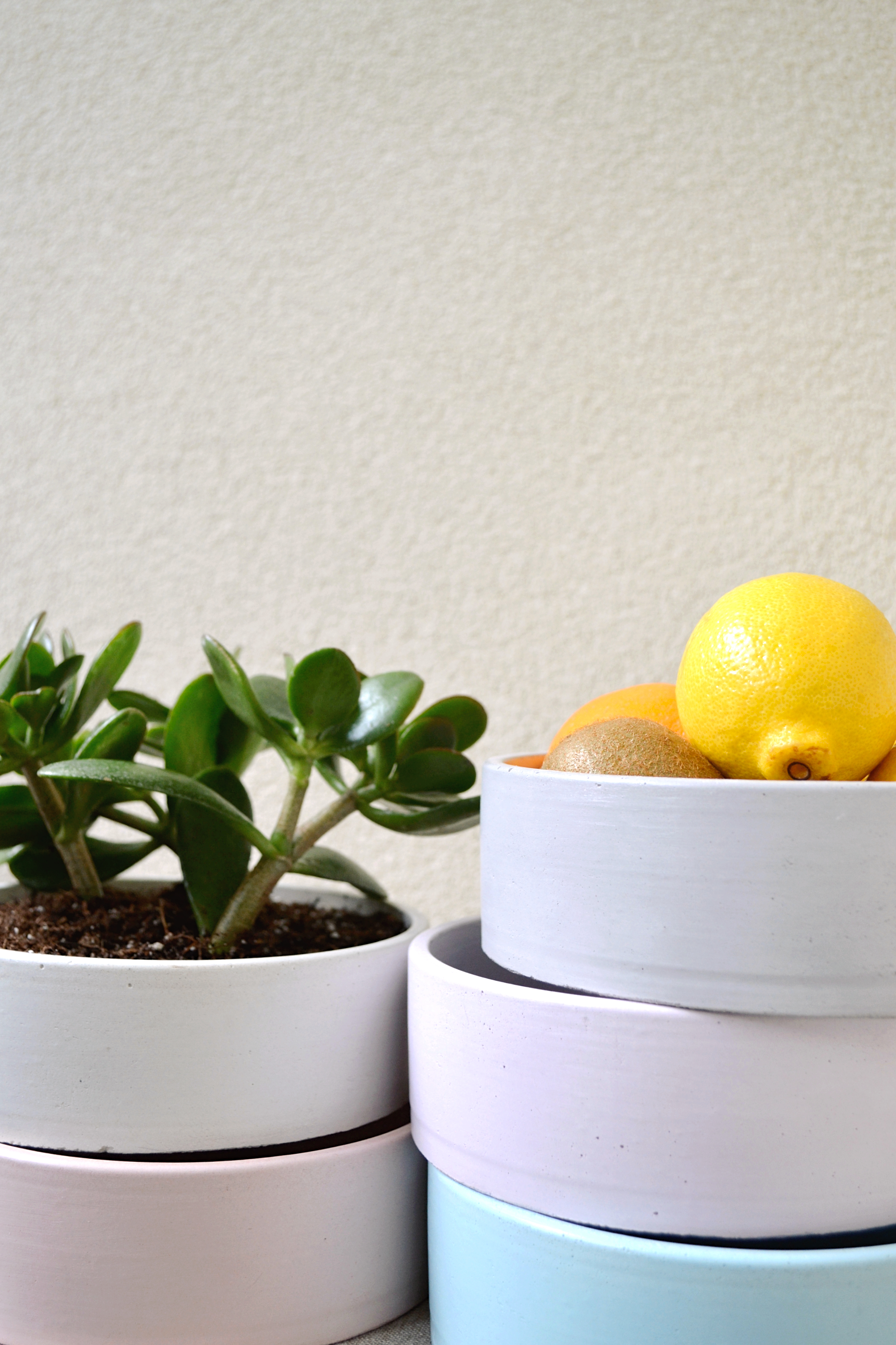 Betono dubuo sukulentams/ vaisiams