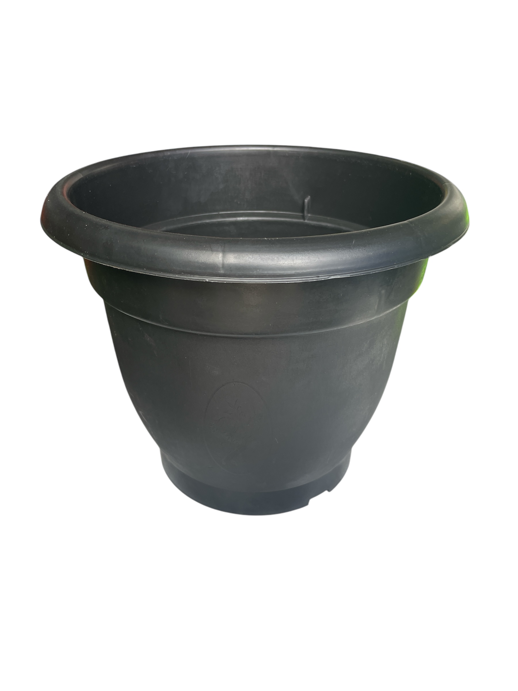 10 inch Multicolour Pot (Pack of 1)