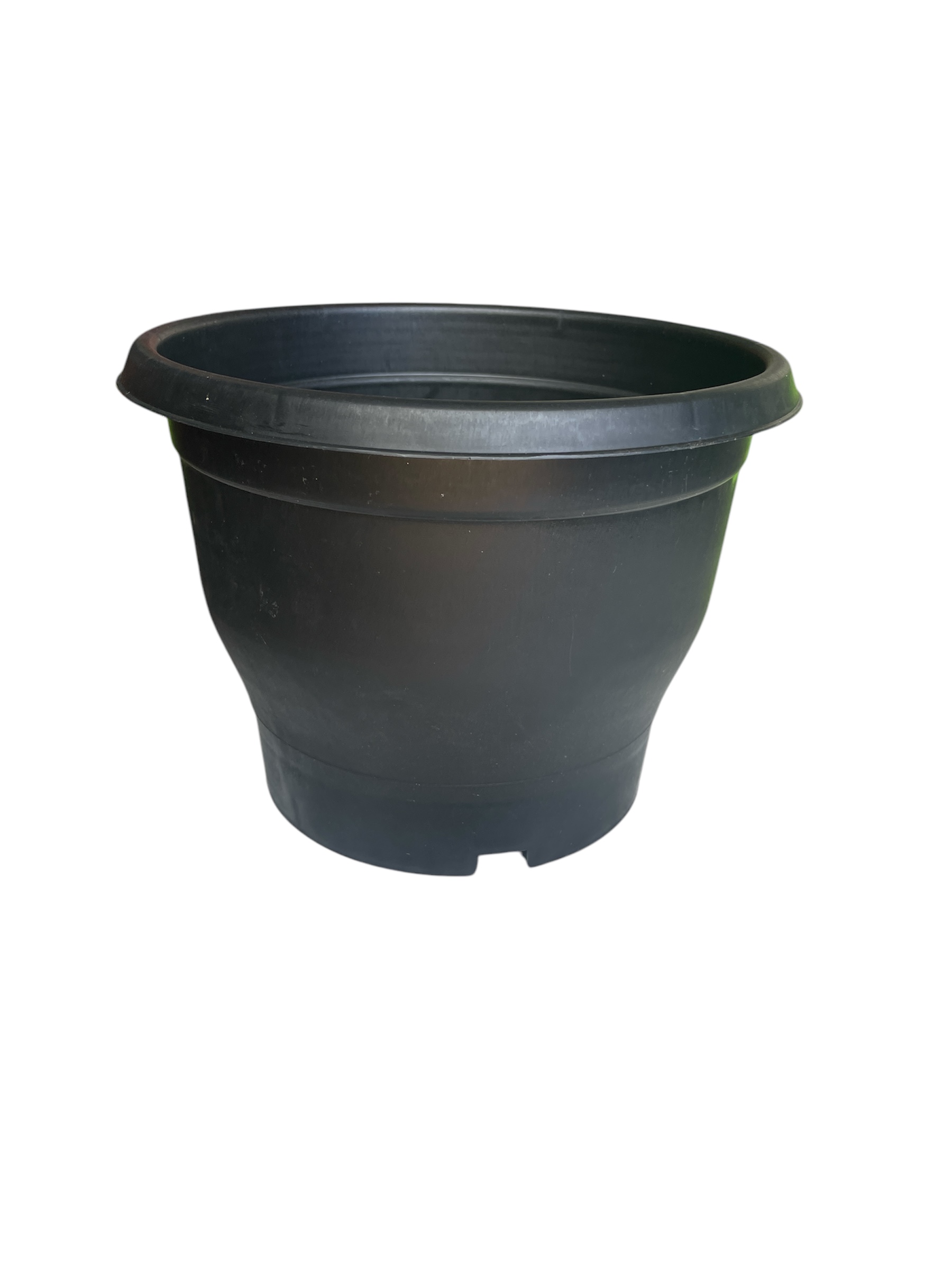 8 inch Plastic Pot (Pack of 1)