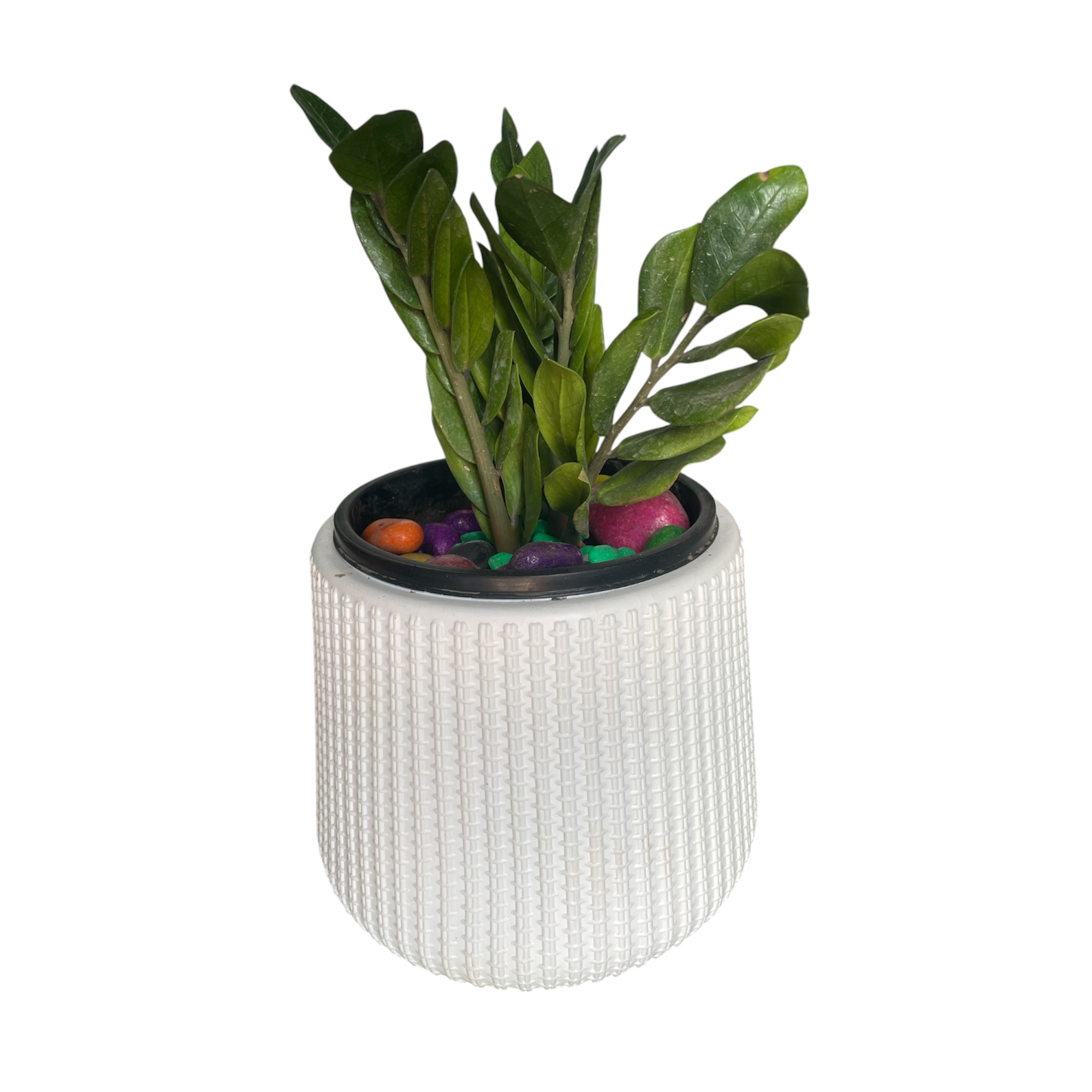 Leo Pot with inner (Pack of 1 )