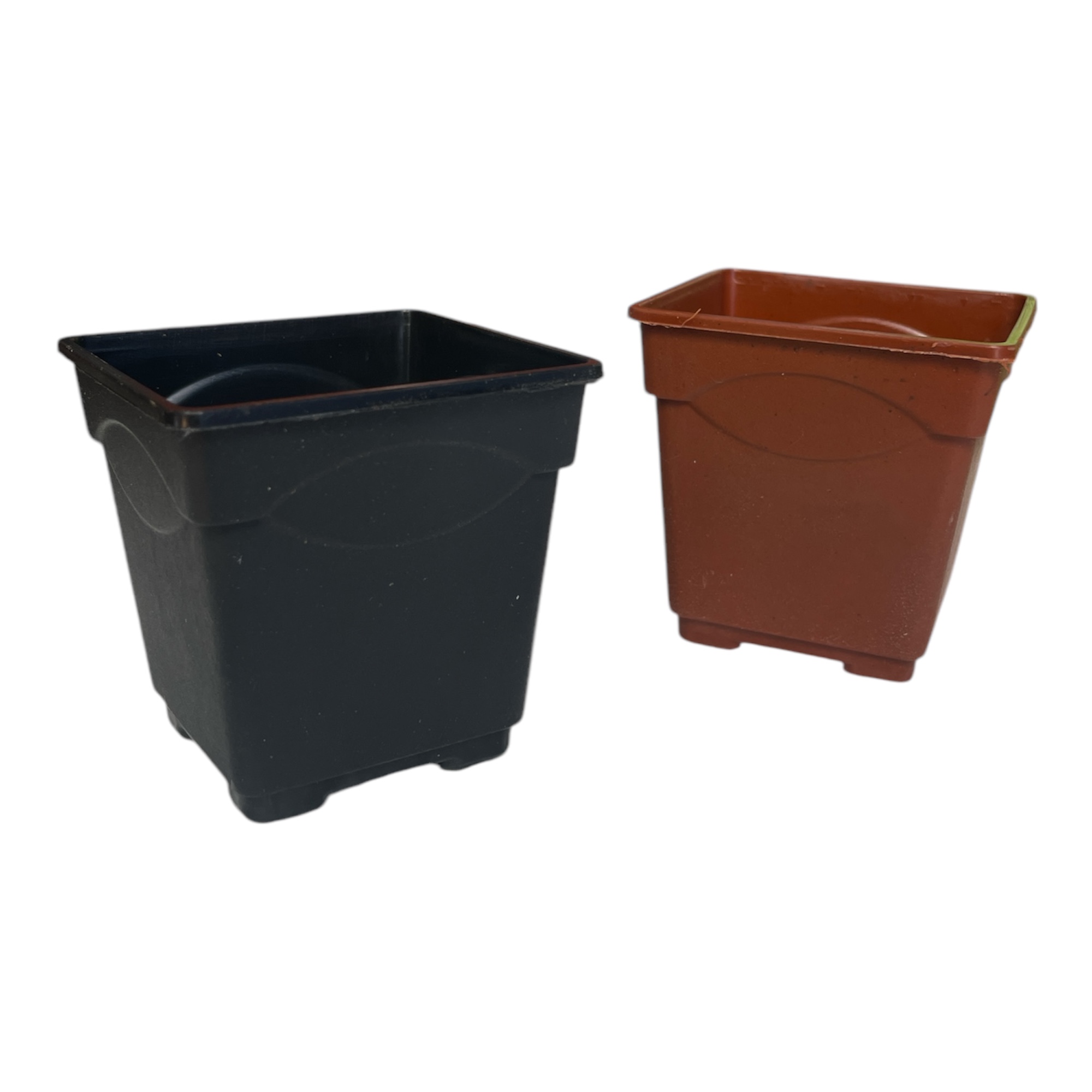 Surculent Pot (Pack of 1)