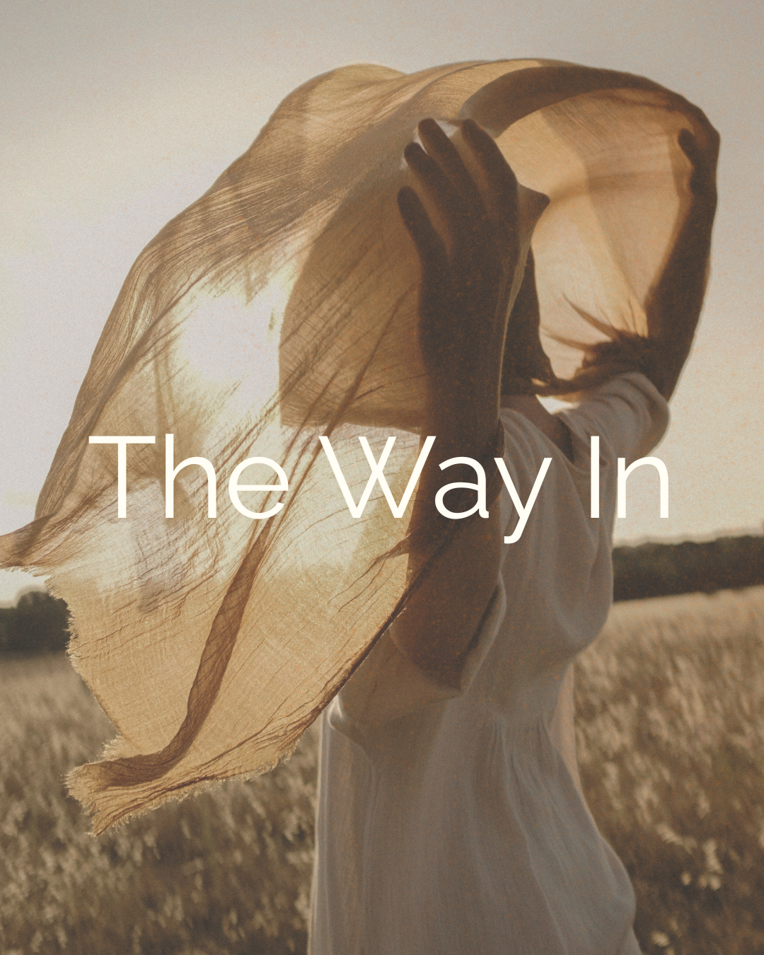 The Way In Soul Guide + Audio