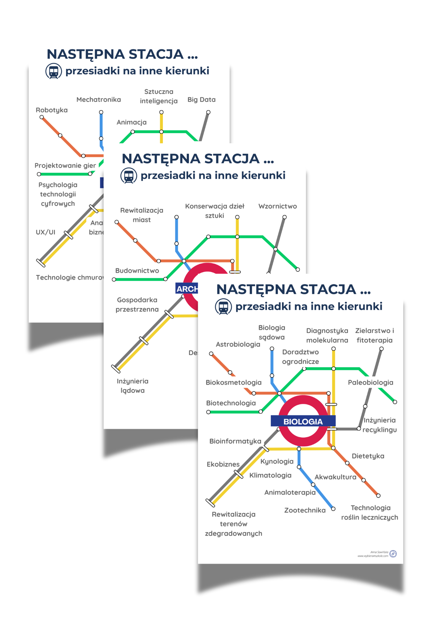 Pokrewne kierunki studiów - Plakaty
