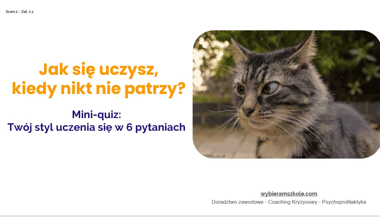 Scenariusz - Uczę się skutecznie - cz. I i cz. II