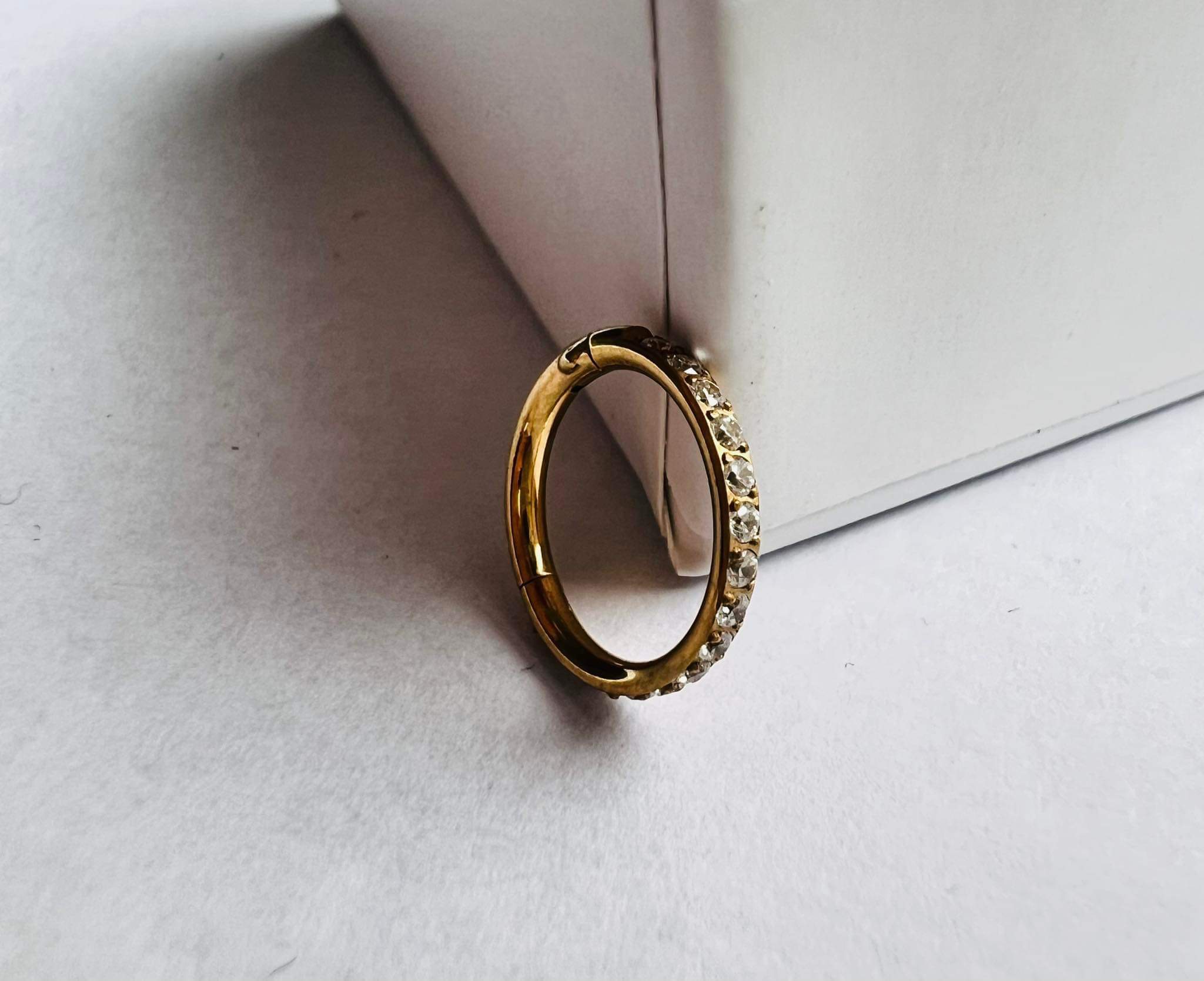 Titanium piercing ring met vast segment en heldere kristallen 