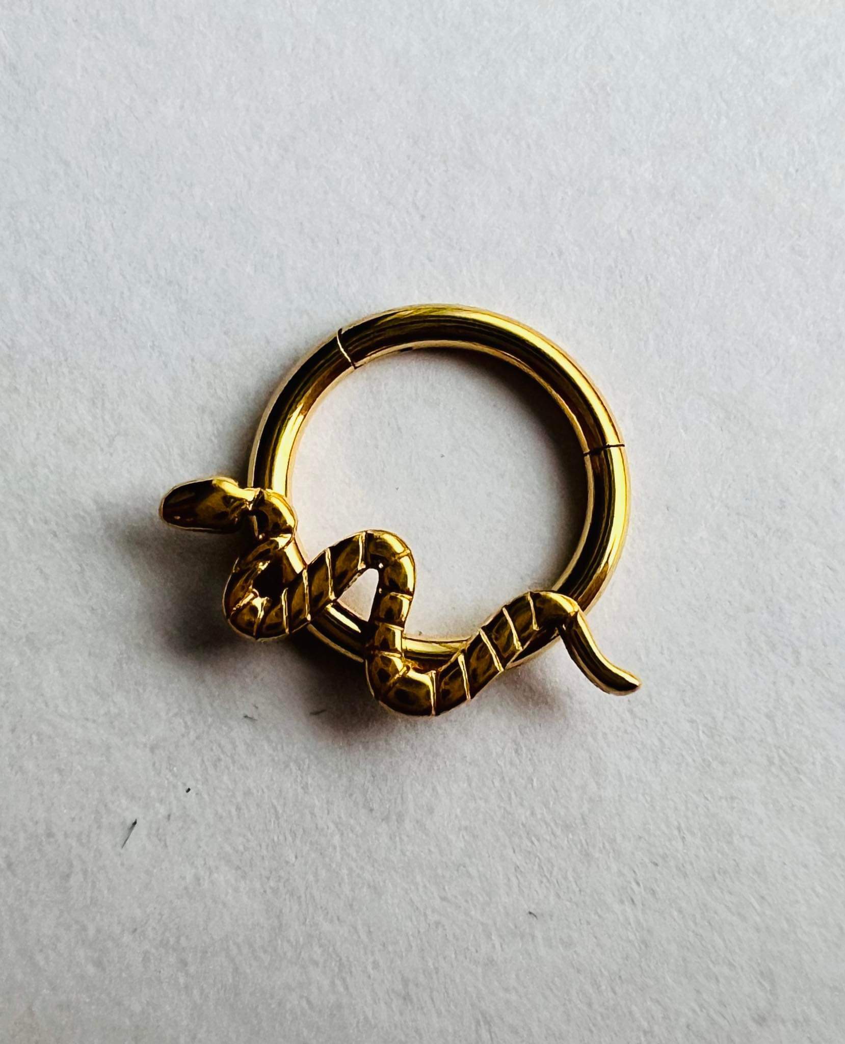 Gekleurde Titanium Segmentring met Front-facing Slang Figuurtje 