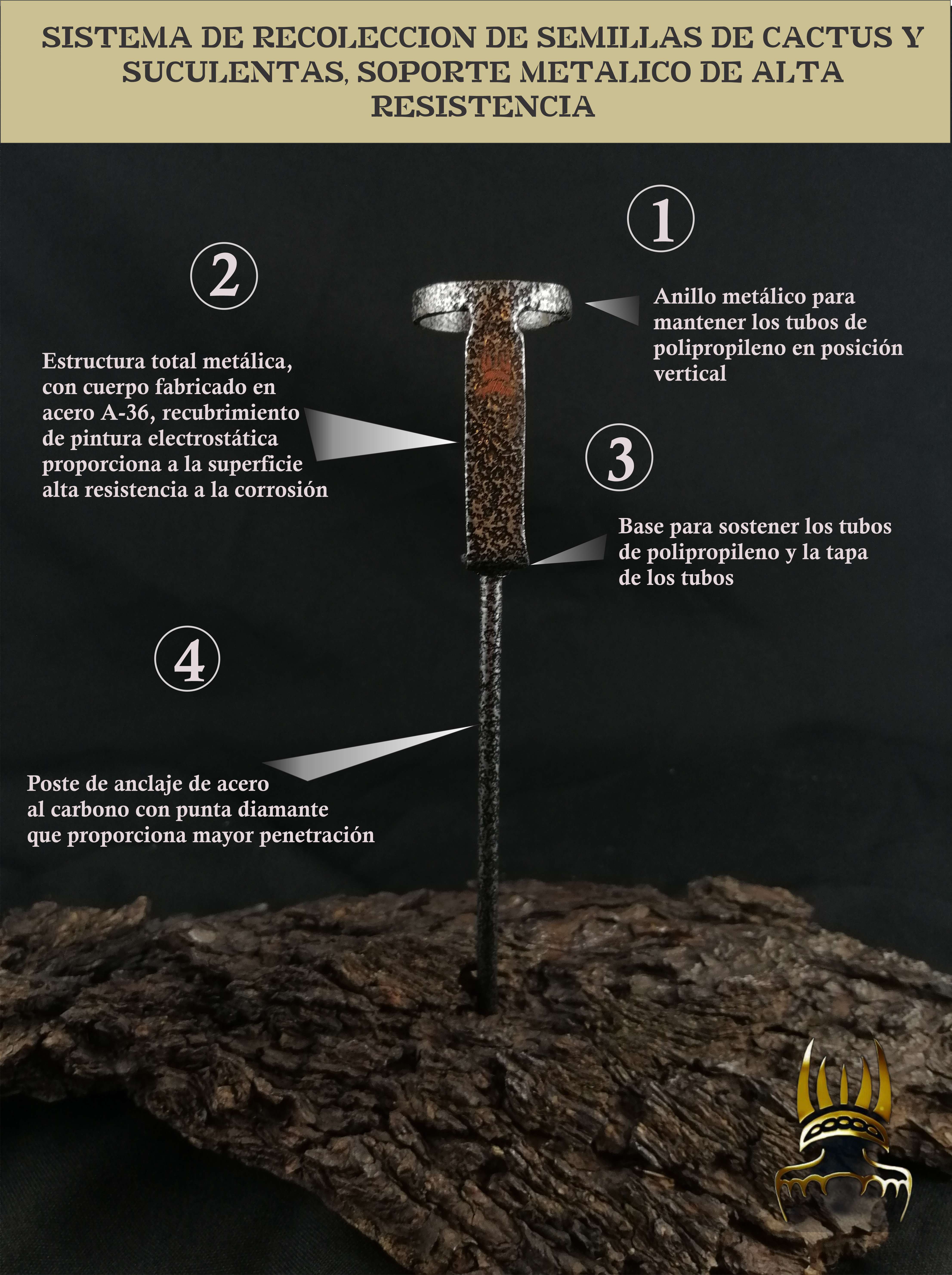Sistema básico de recolección de frutos y semillas de cactus y suculentas