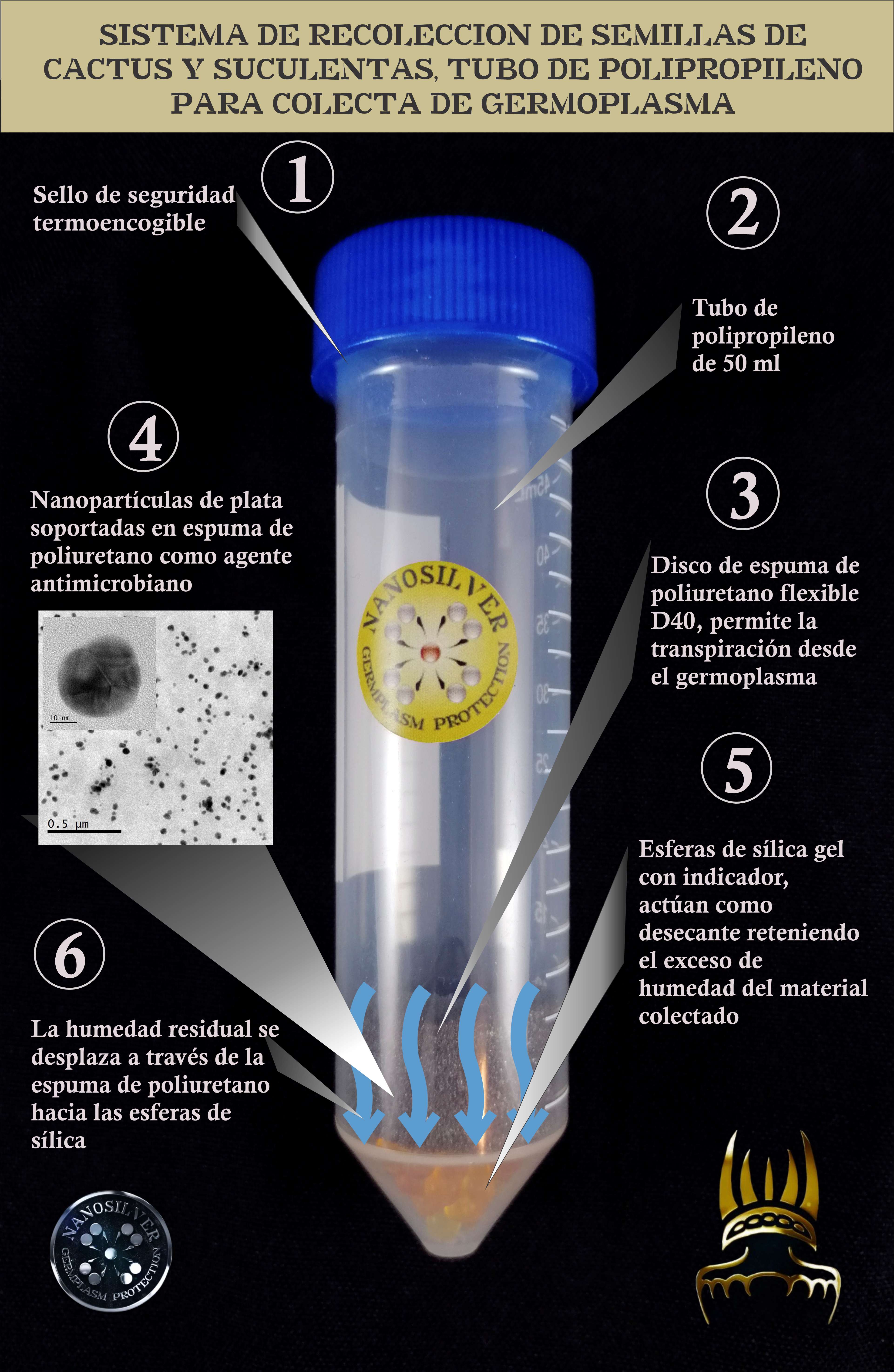 Sistema avanzado de recolección de frutos y semillas de cactus y suculentas