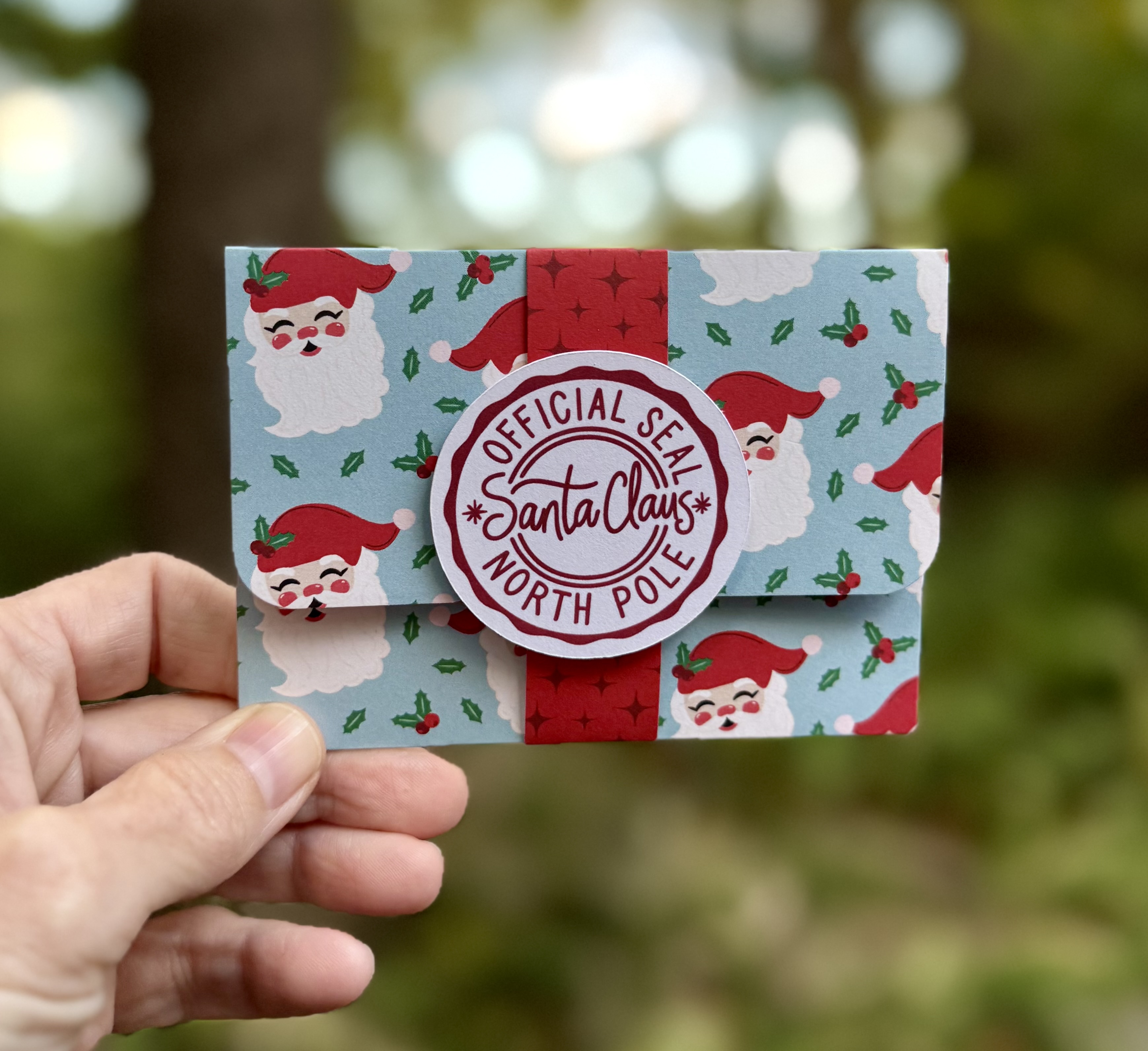 Handmade Santa Said You Sleighed This Year Funny Christmas Gift Card Holder