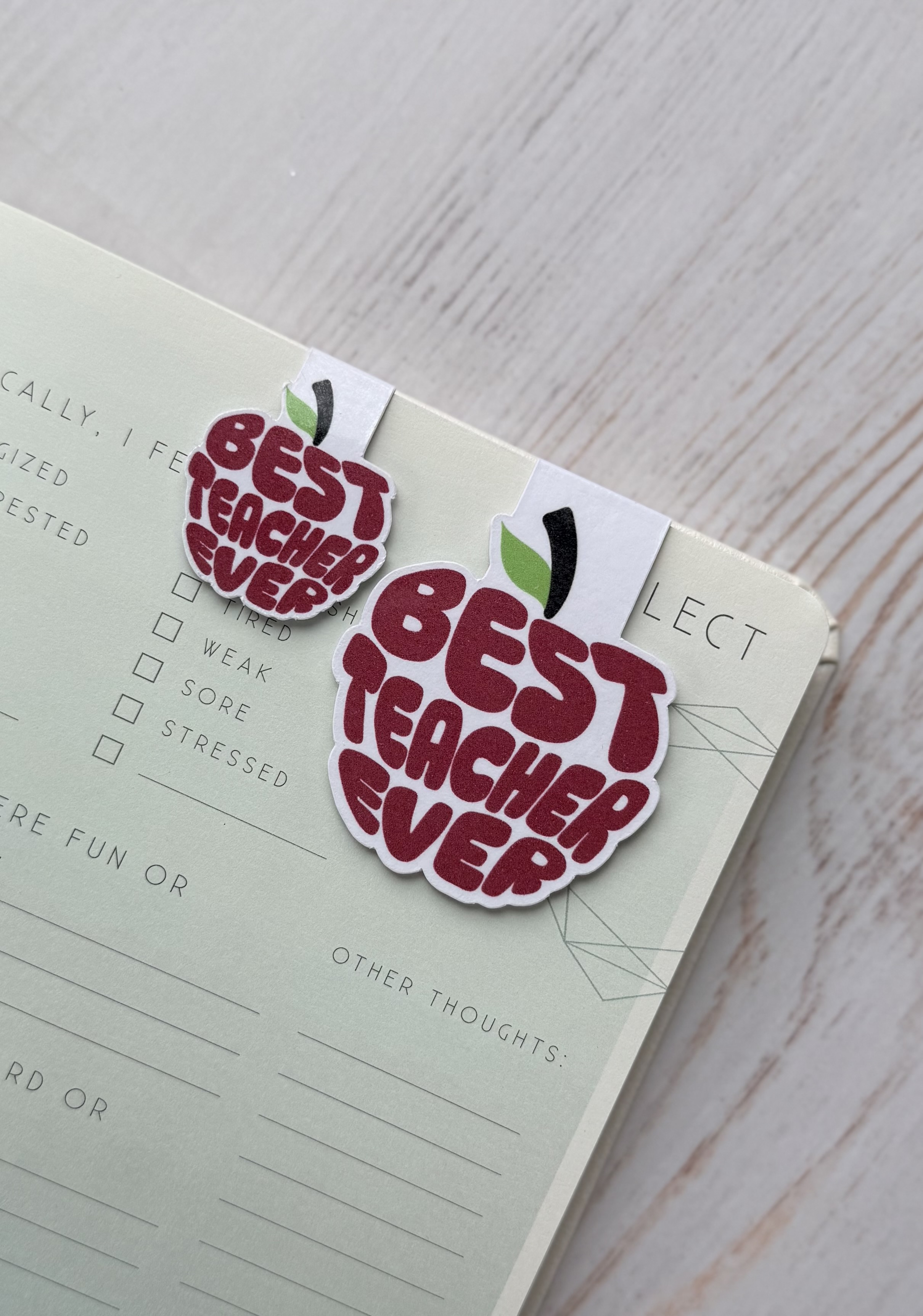 Teacher Appreciation Magnetic Bookmarks