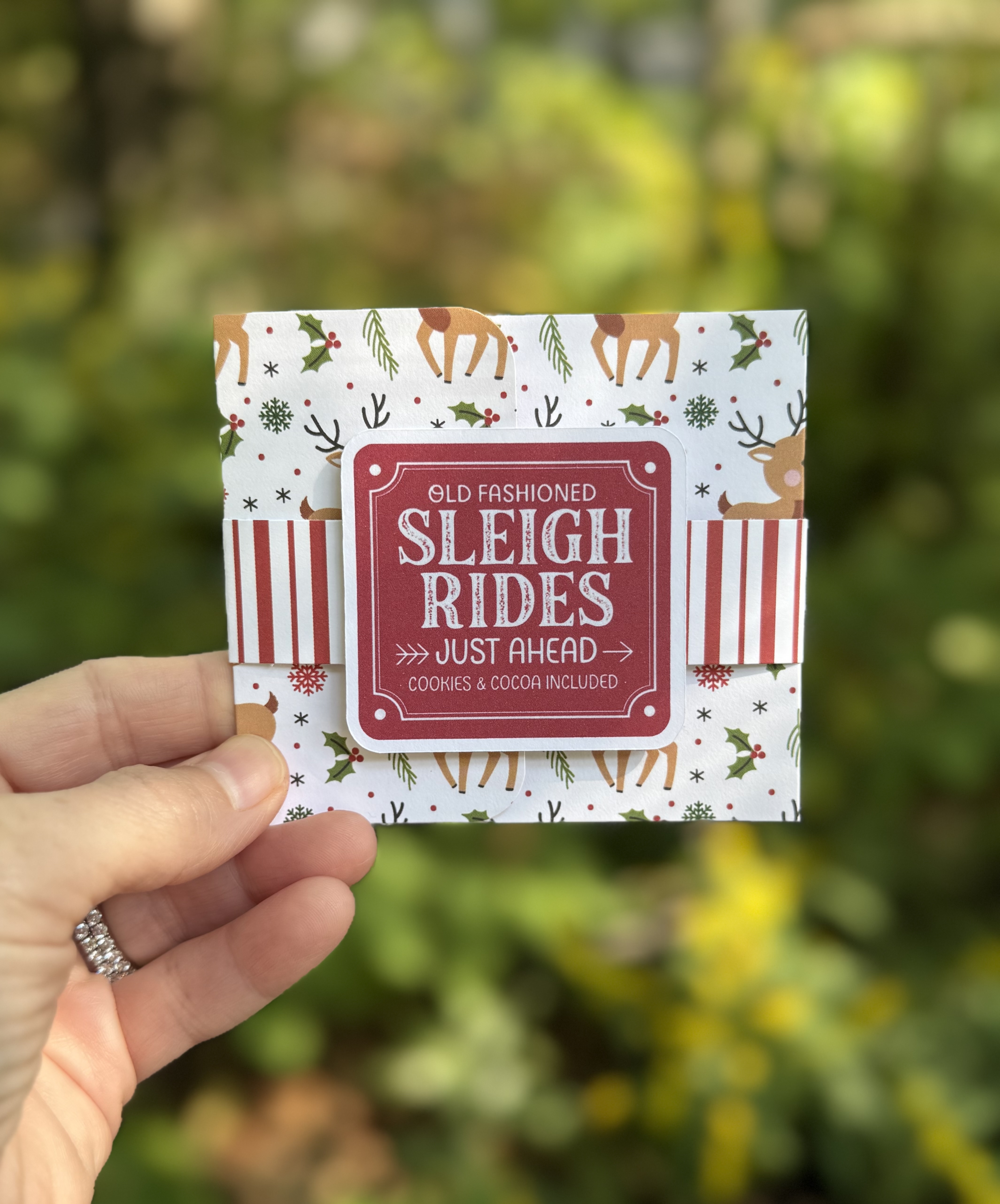Old Fashioned Sleigh Rides Handmade Gift Card Holder – Holiday Card with Ornament Option