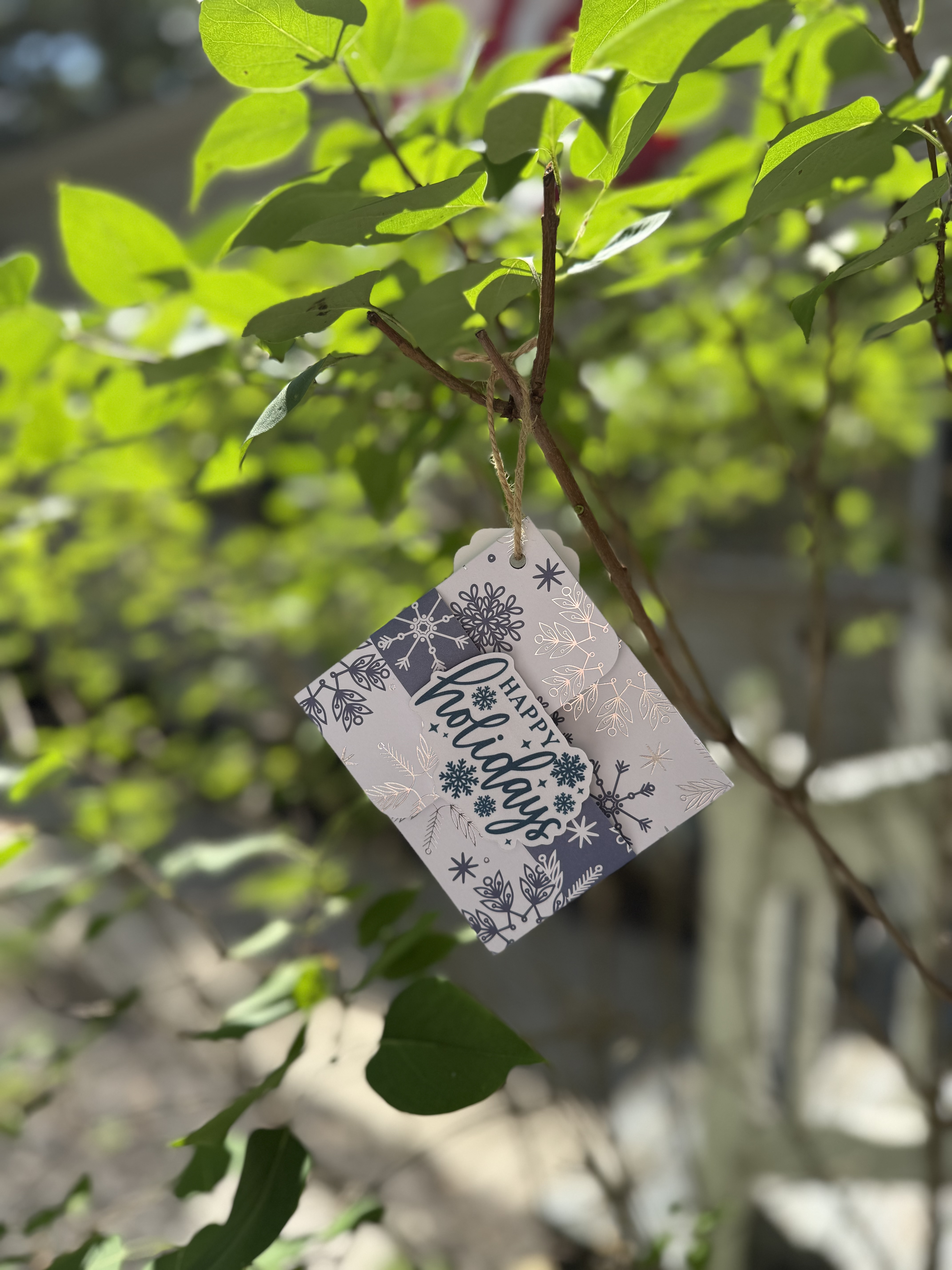 Winter Christmas Vibes Handmade Gift Card Holders, With or Without Ornament Hanger, Set of 3