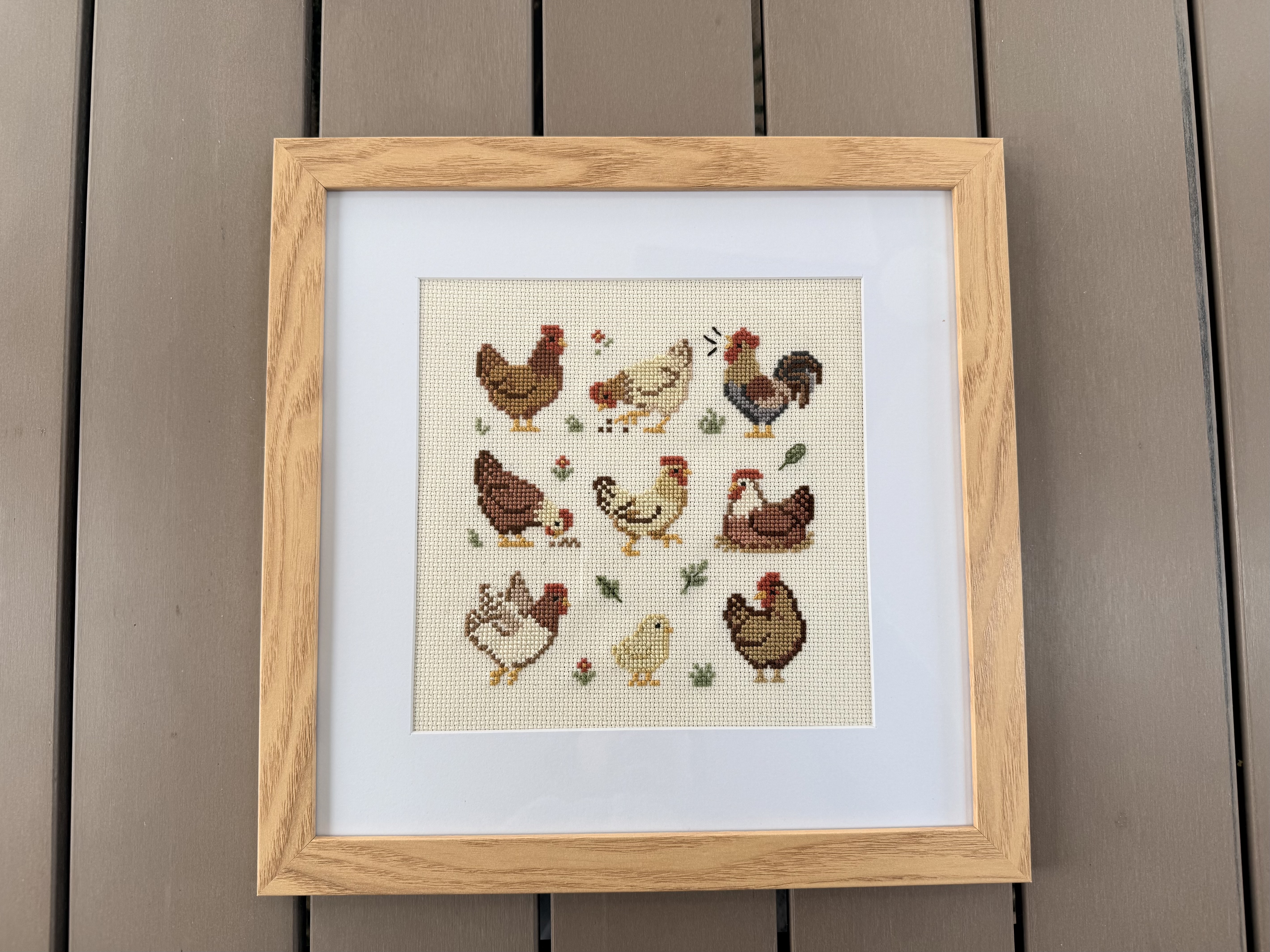 Chicken Poses Completed Cross Stitch with Frame