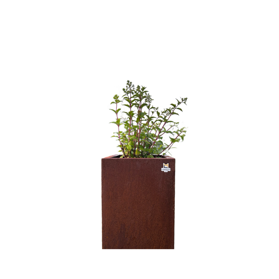 Corten stačiakampis vazonas vertikalus 300x300x500mm