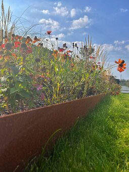 Corten vejos borteliai su smeigėmis ir sujungimais 200mm aukščio 3 metrai