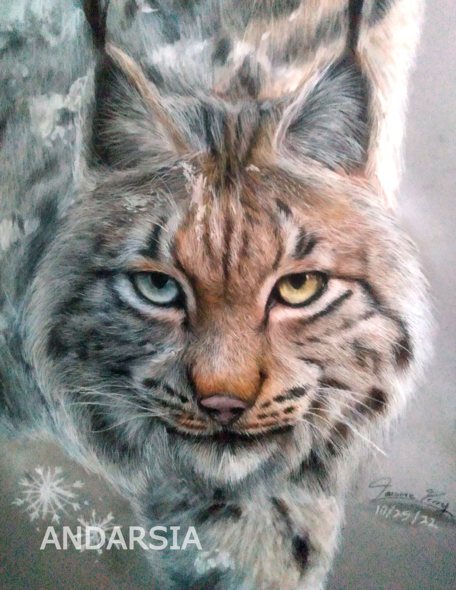 Curiosity (Without Watermark) - Art Print