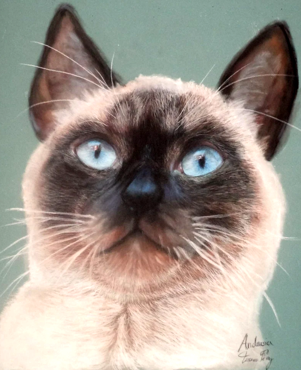 Siamese Cat Portrait Painting (No Watermark) - Art Print