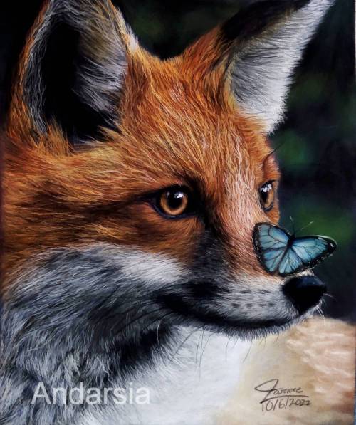Fox and Butterfly (No Watermark) - Art Print