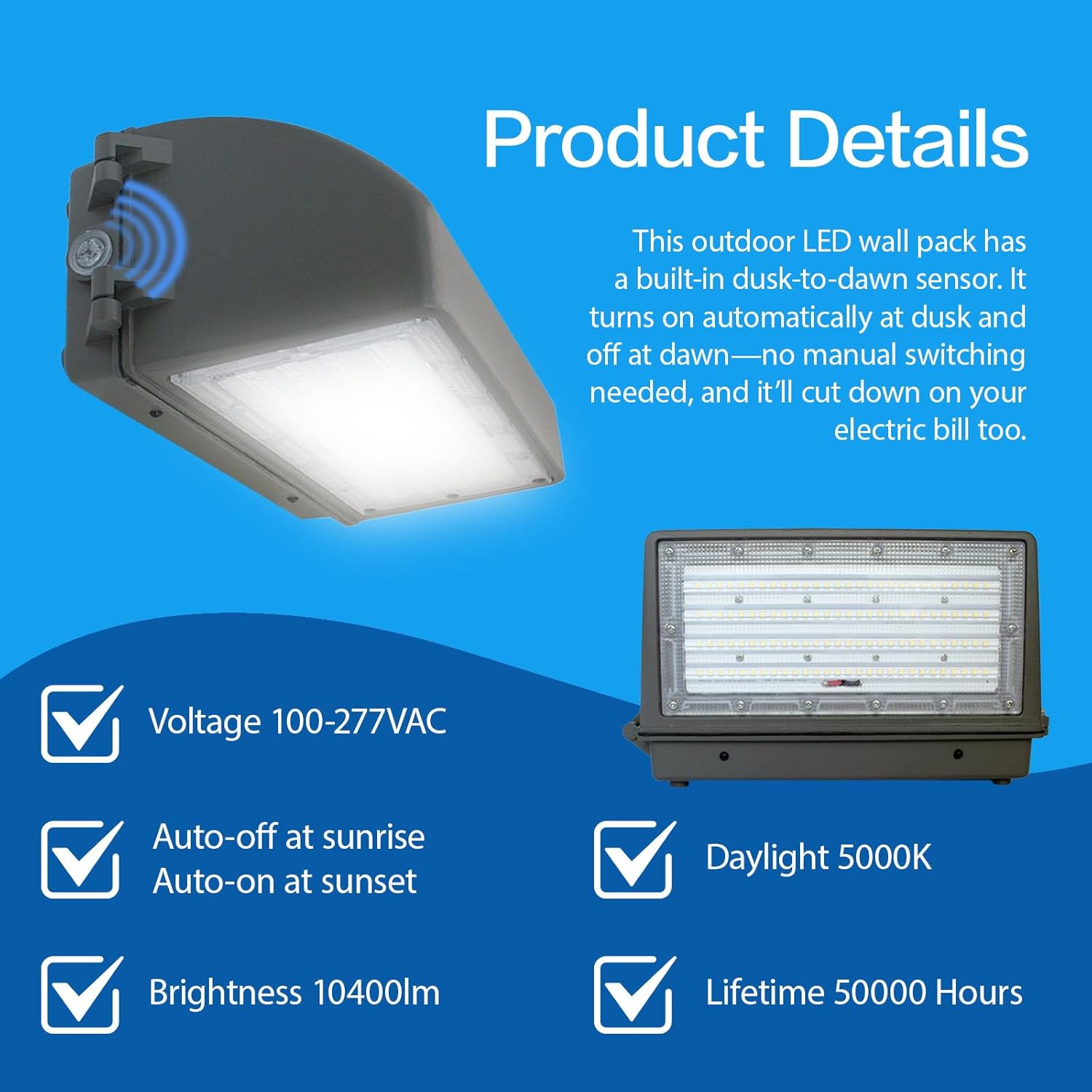 WALLPACK CUTOFF 40W/60W/80W Switchable