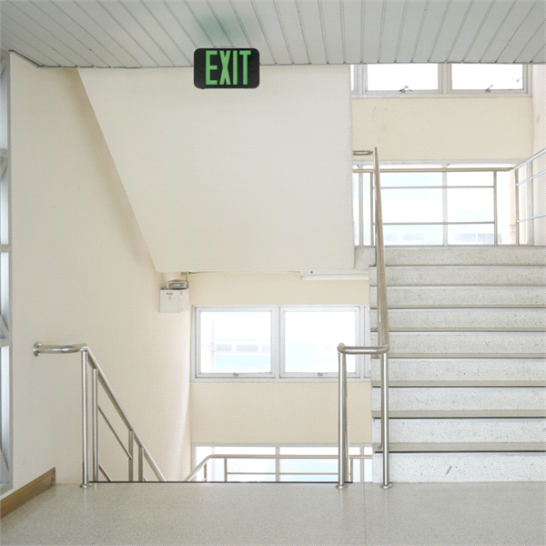 LUMINARIA SALIDA EXRGELM6