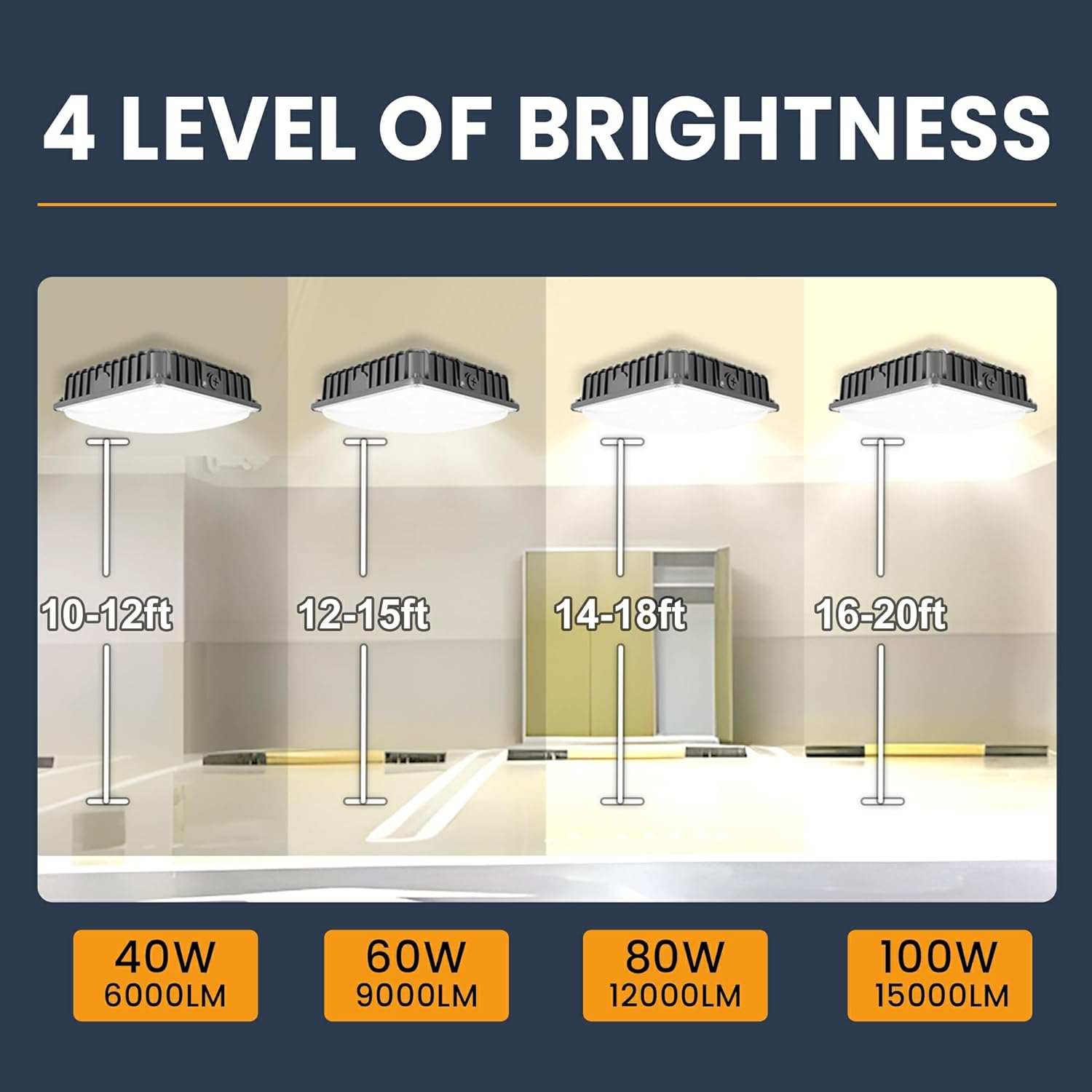 CANOPY 40/60/80/100W SELECTABLE