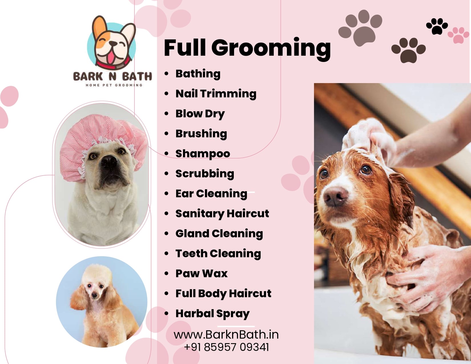 Grooming Bark Dog Store Bathe Grooming Bark N Bathe Bissell