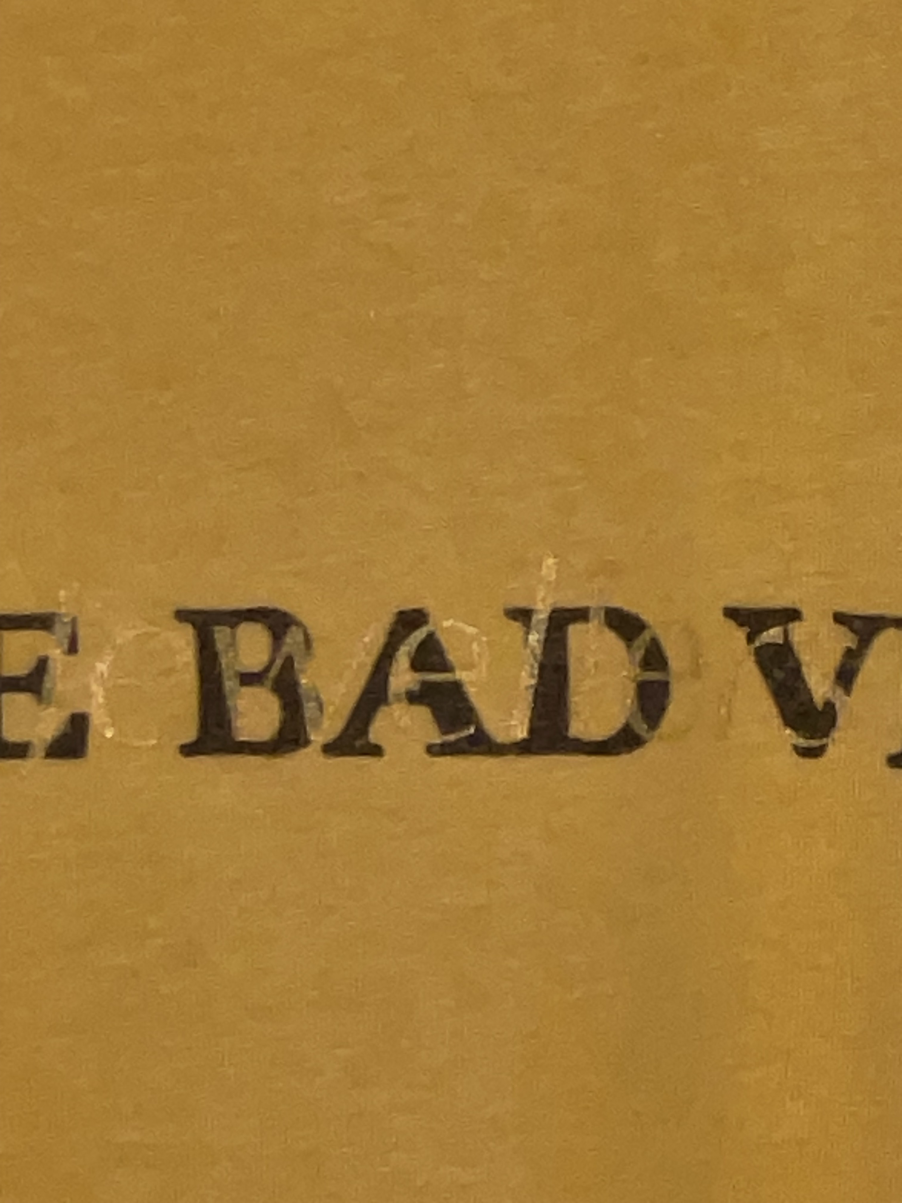 Goodbye Braverman (M)