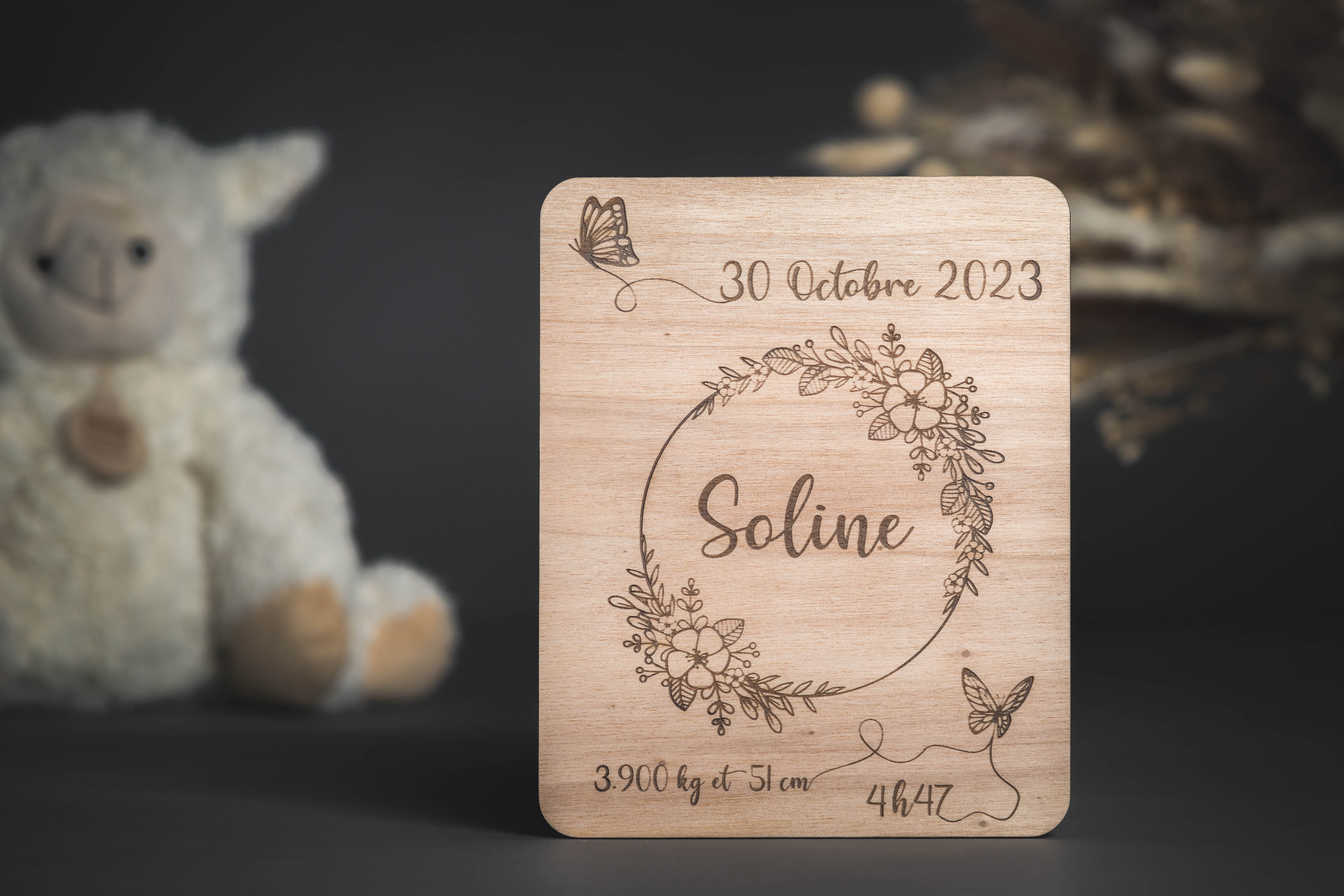 Plaque de naissance 