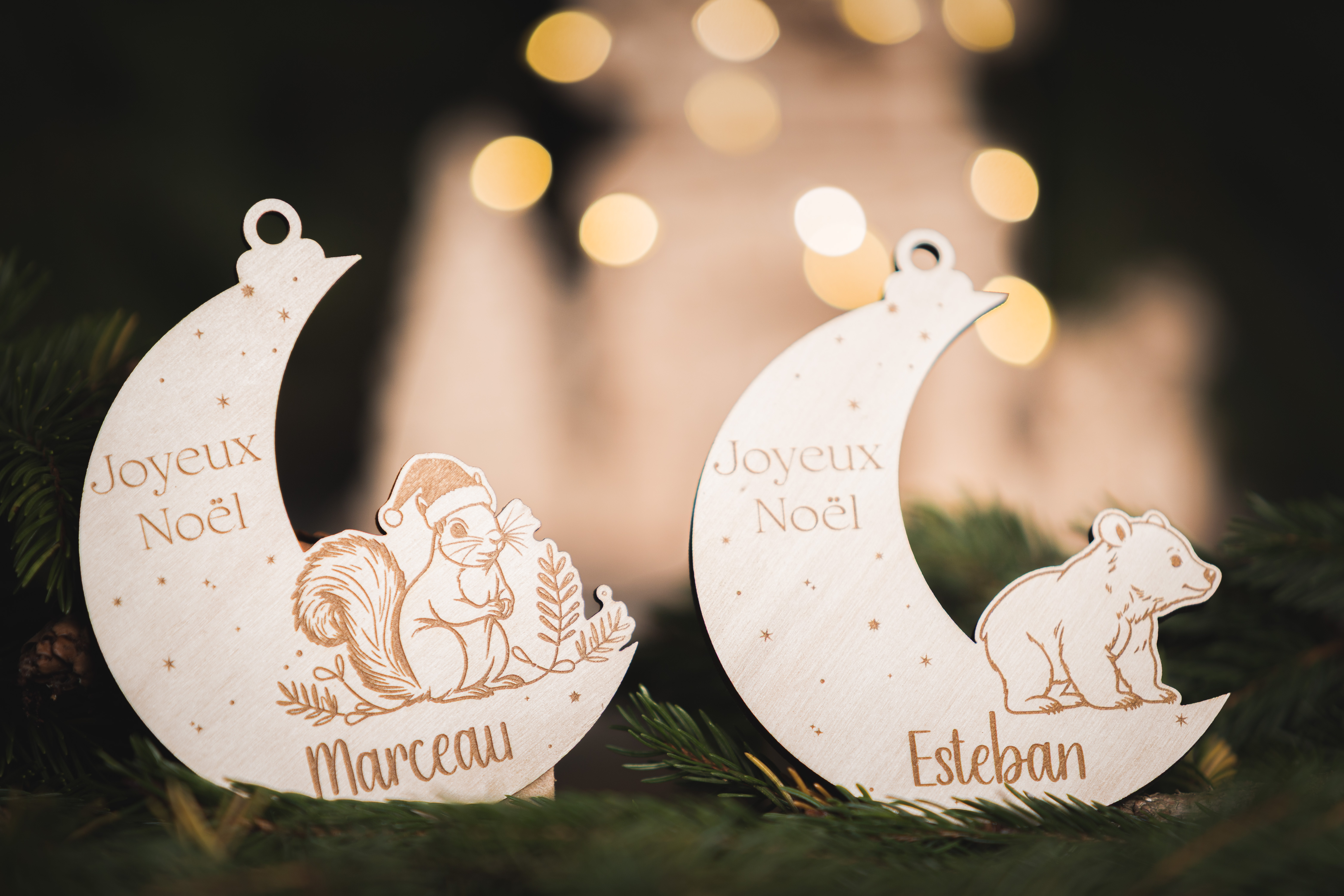 Boule de noël enchantées