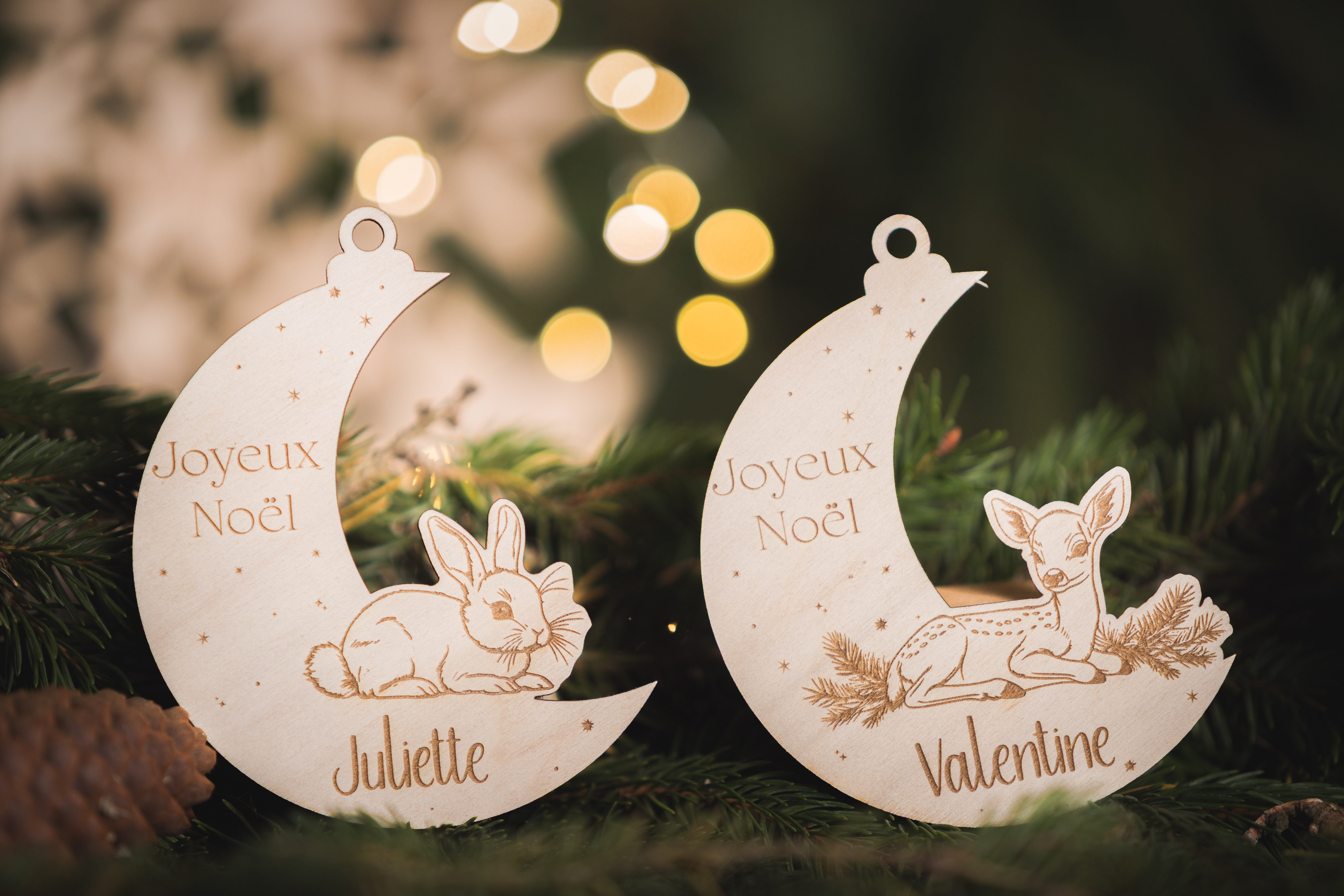 Boule de noël enchantées