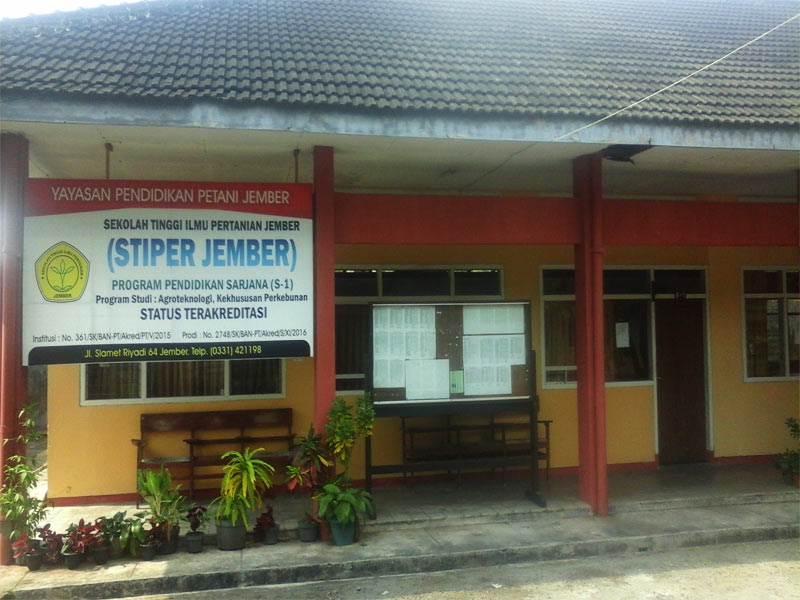 STIPER Jember