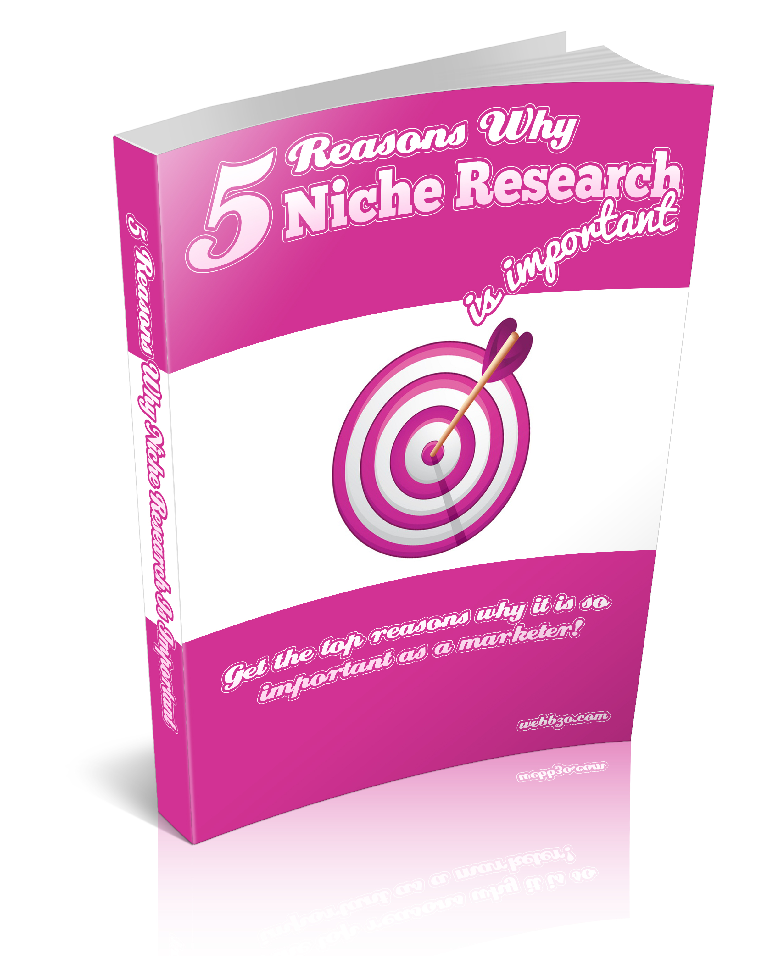 5 Reasons Why Niche Research Is Important – Edition 2