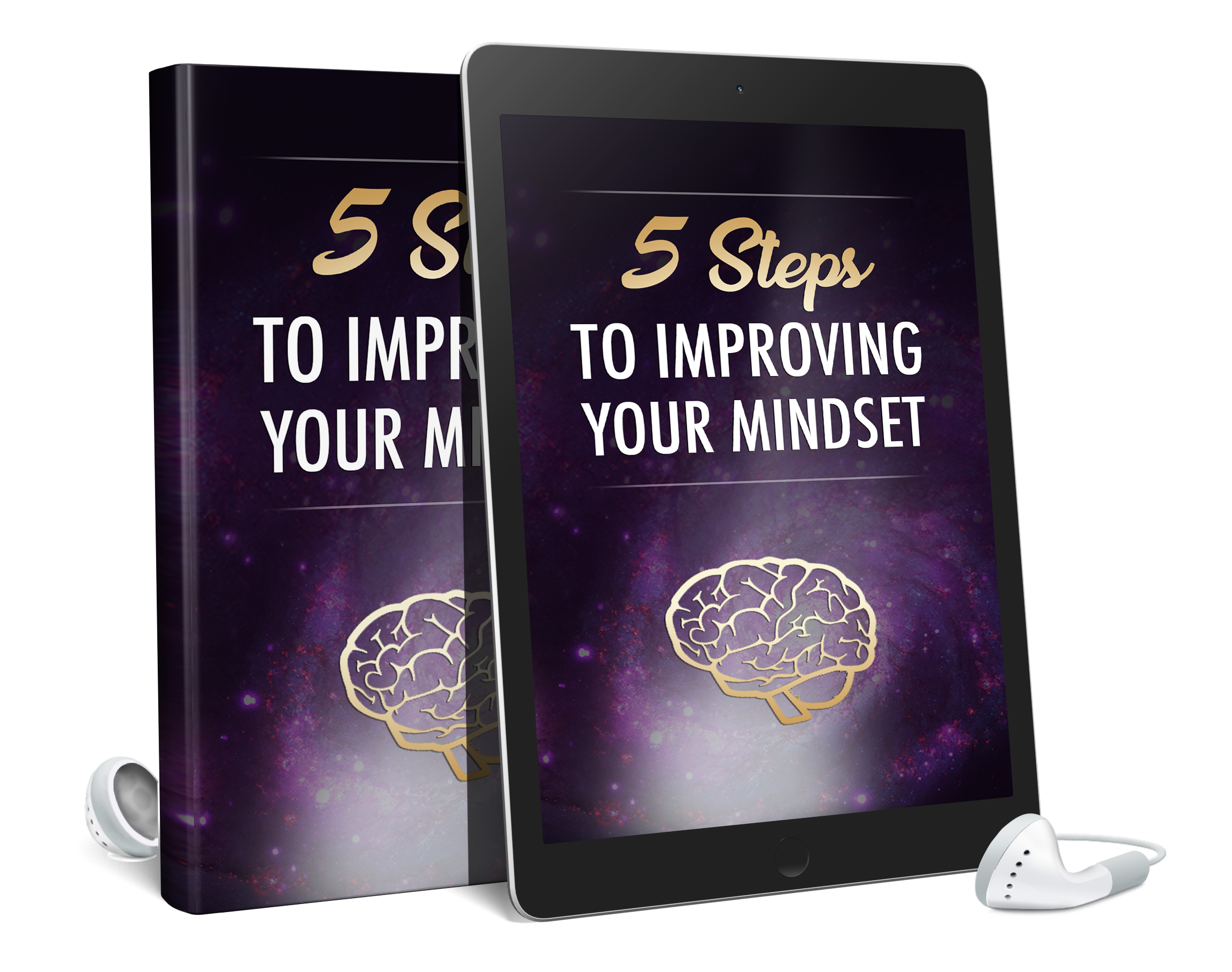 5 Steps To Improving Your Mindset AudioBook and Ebook