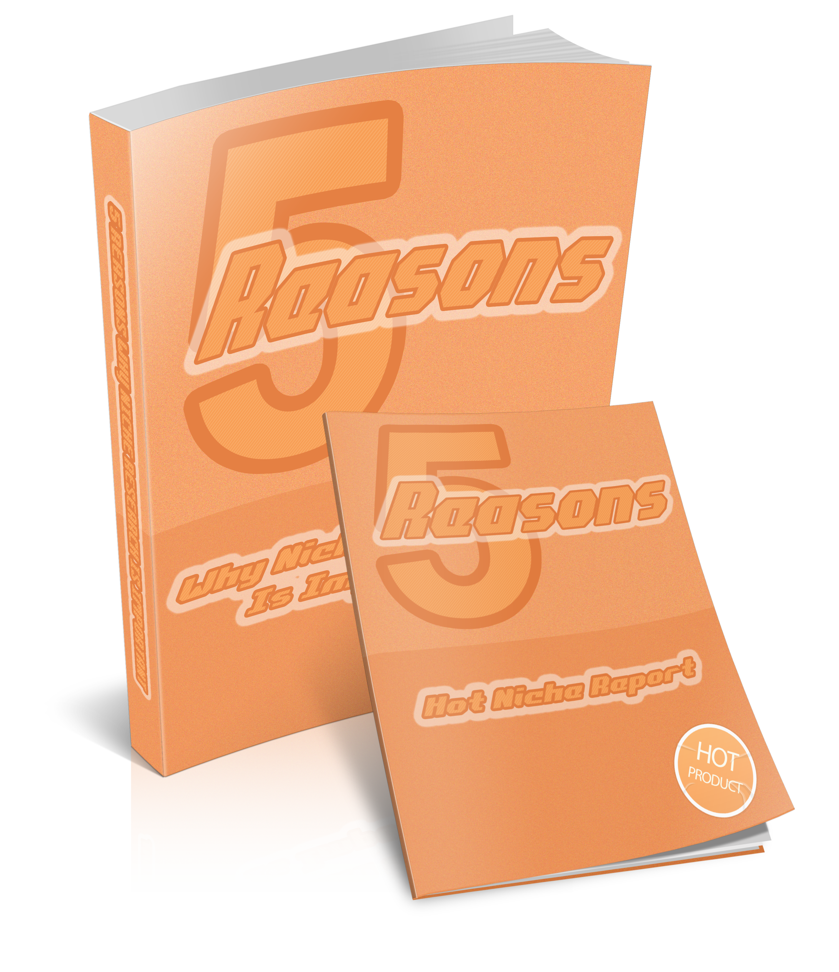 5 Reasons Why Niche Research Is Important