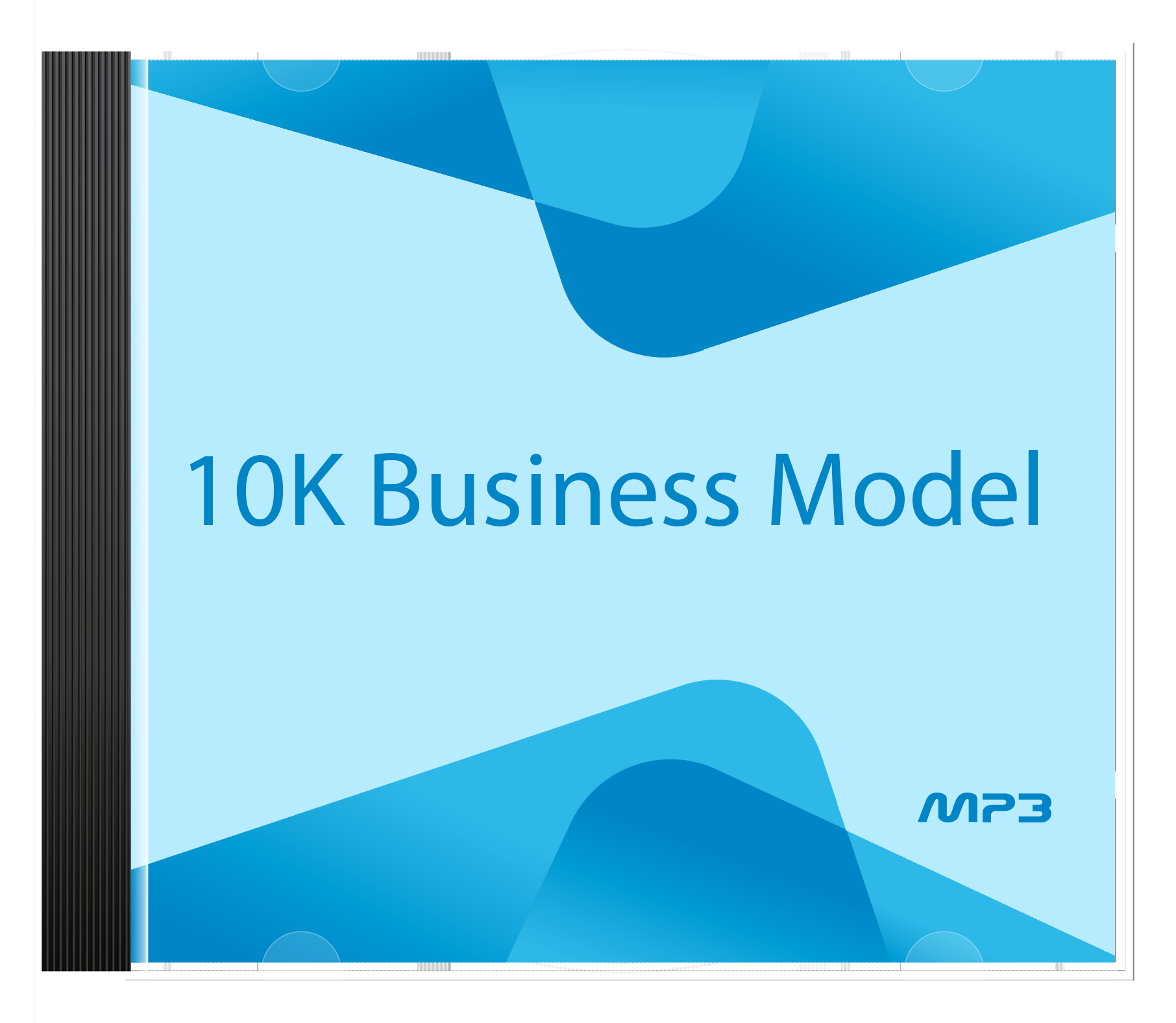 10K Business Model