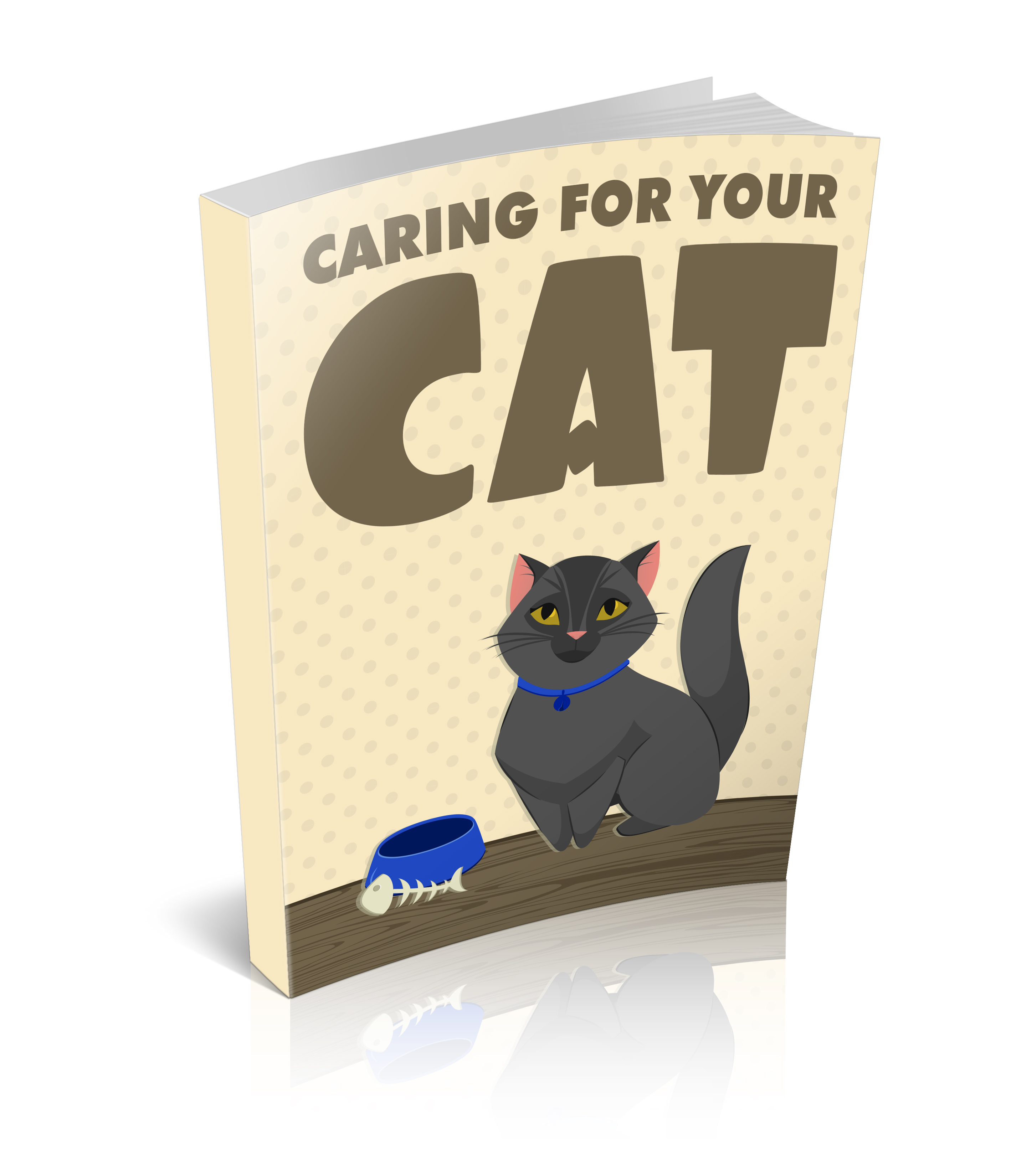 Caring For Your Cat