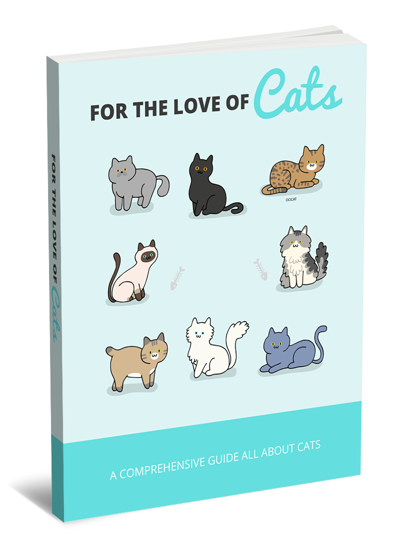For The Love Of Cats
