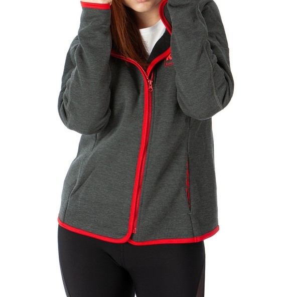 Ladies Fleece Hoody in Grey 