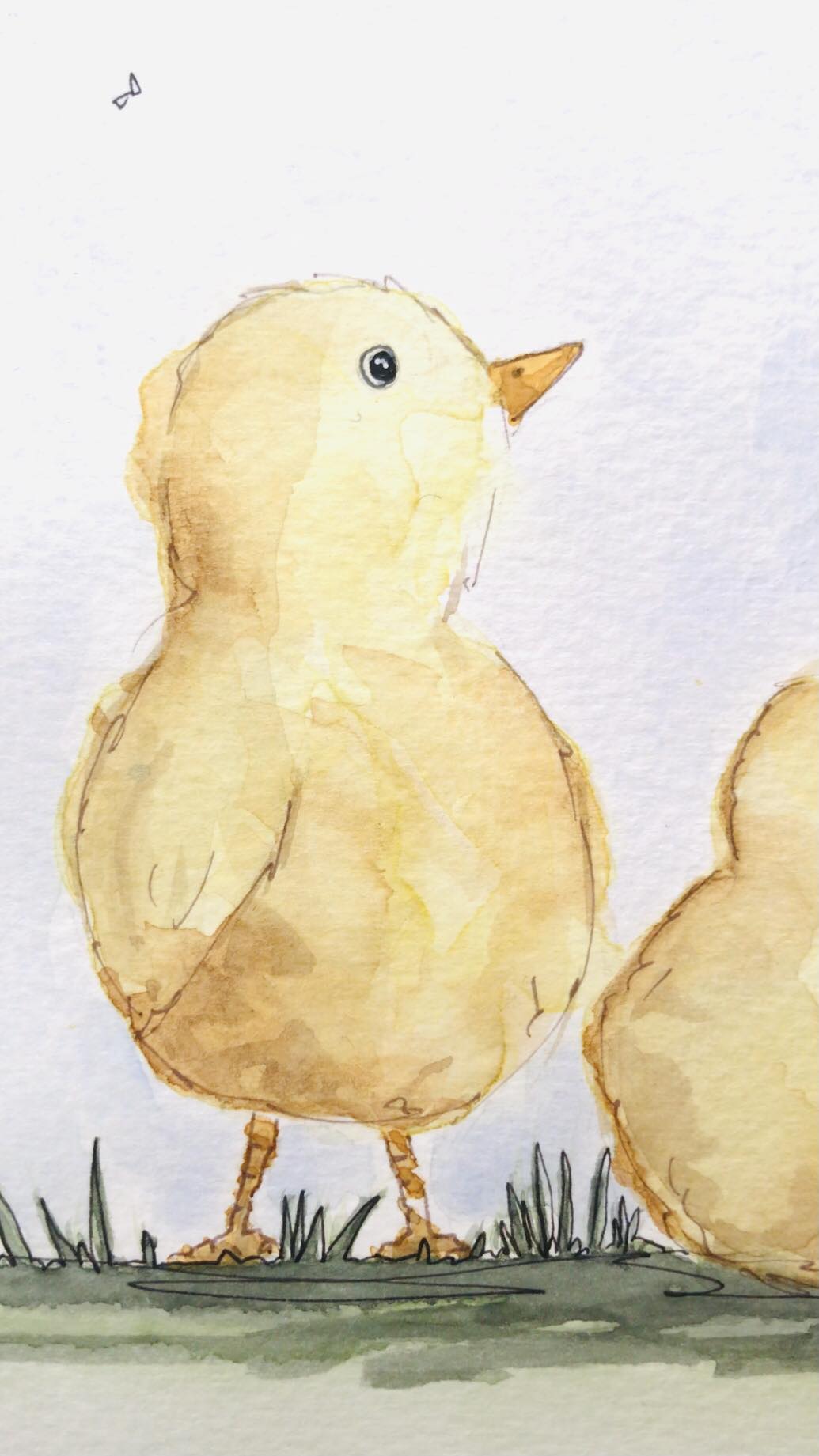 'Little Ducklings' 