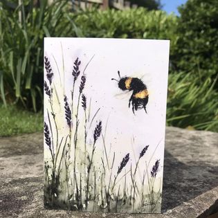 'Lavender '
