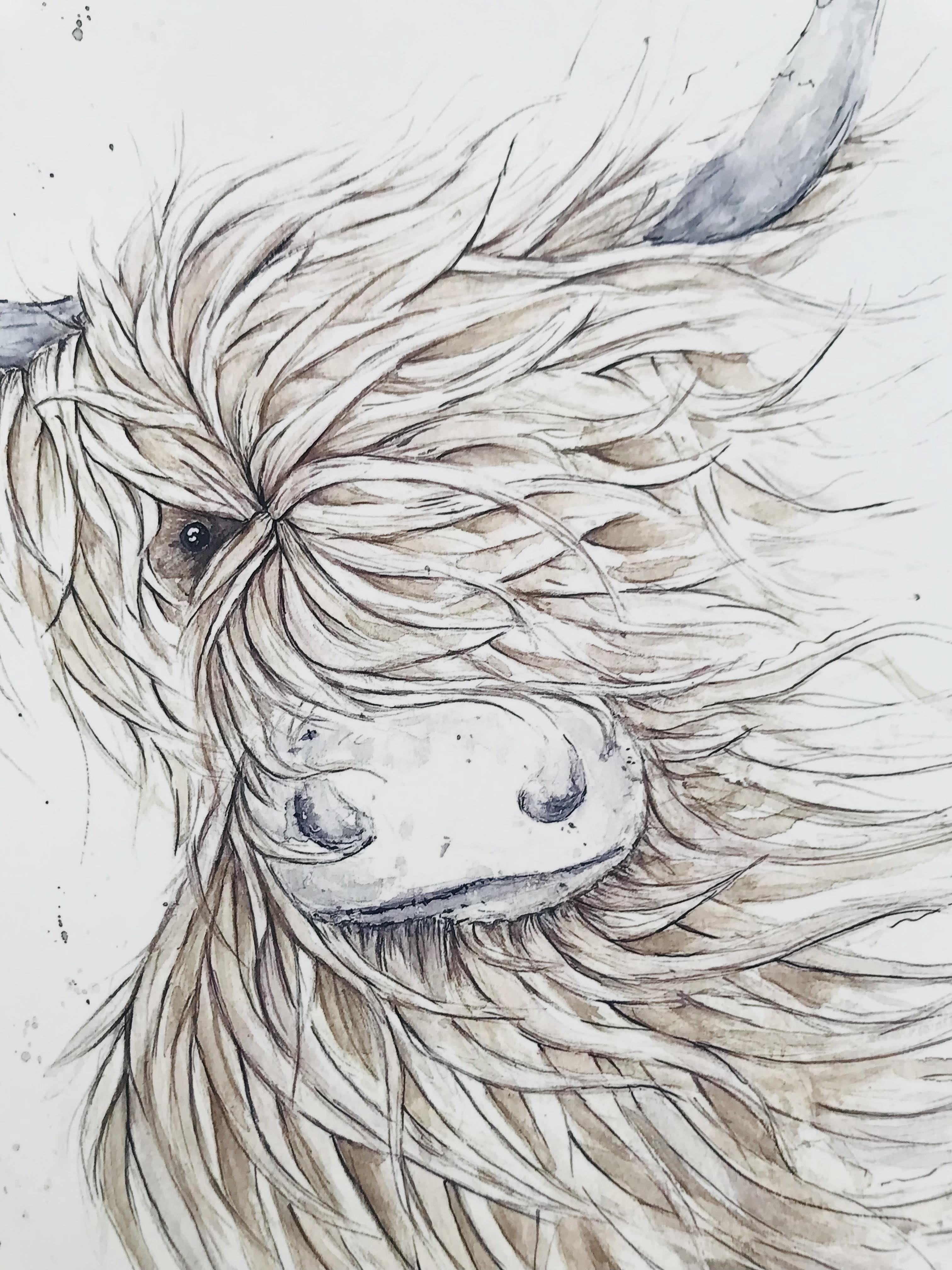 'Windy Cow' Print