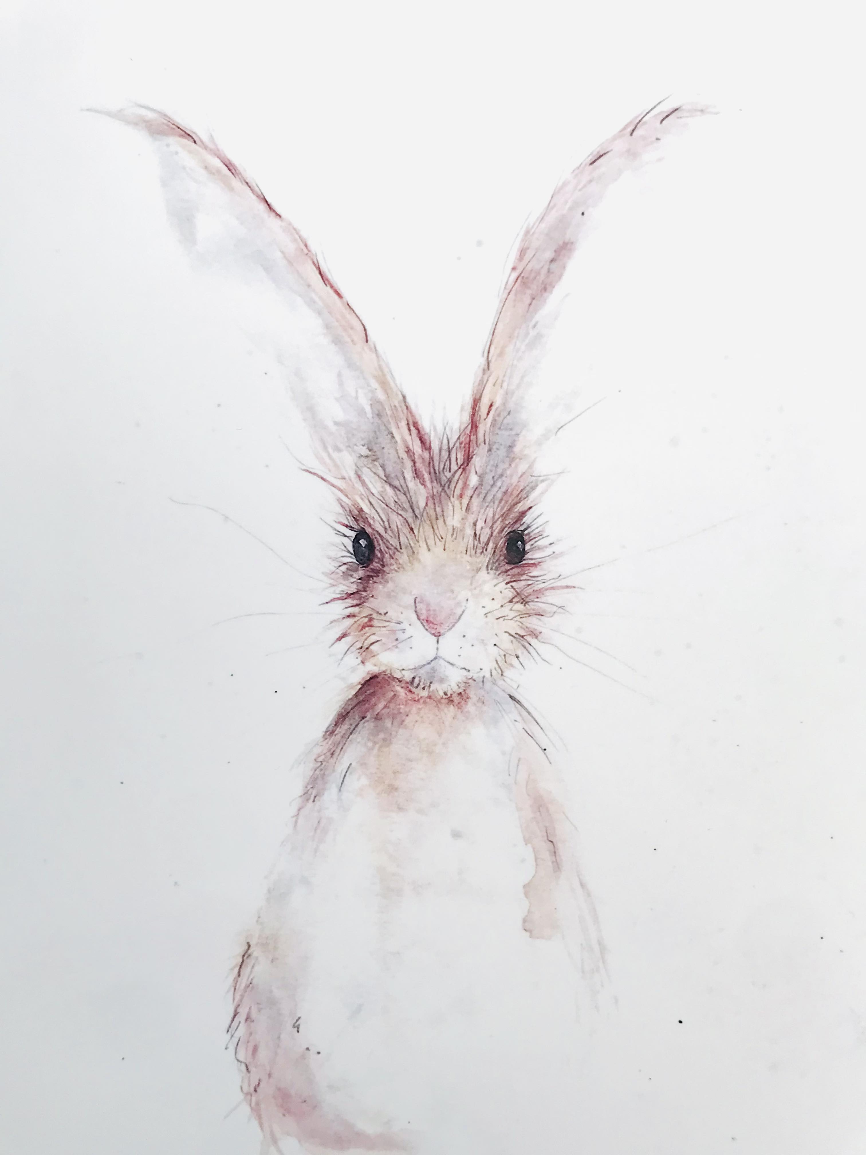 'Harley' Print