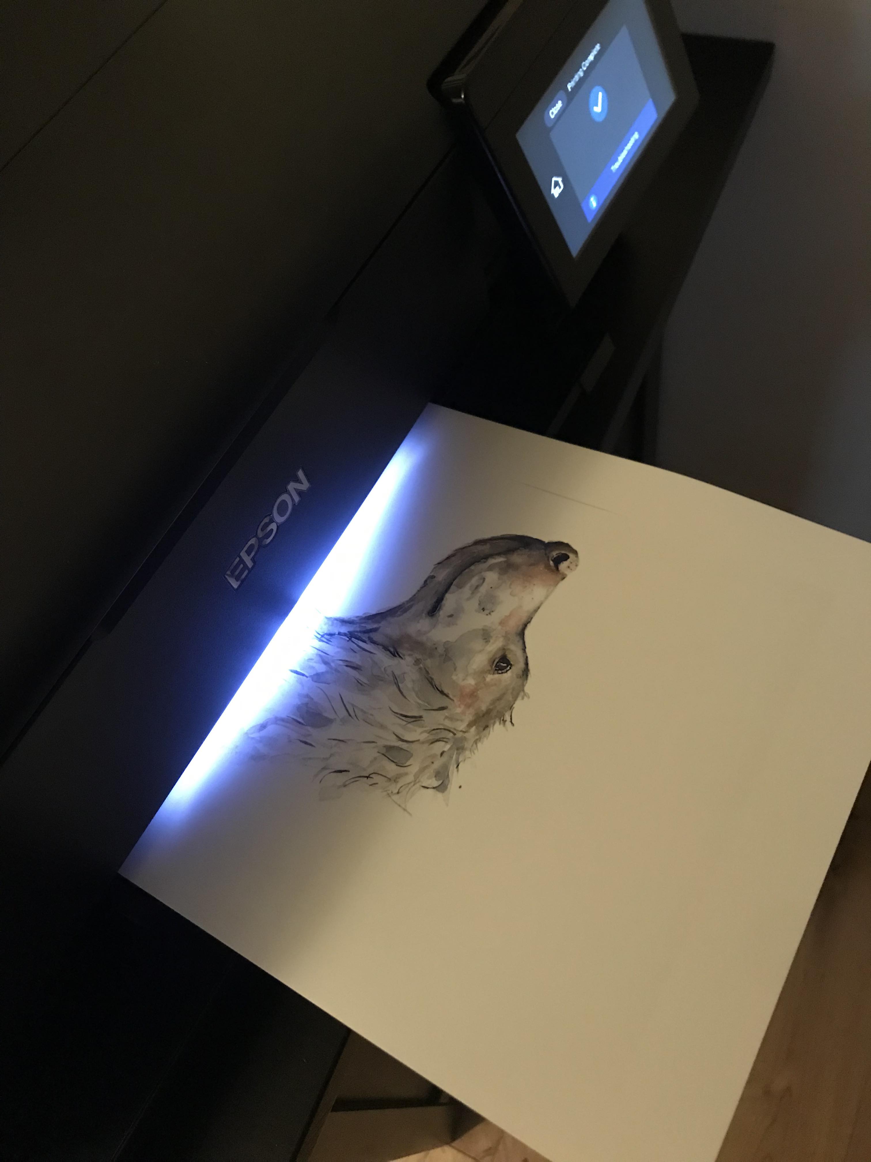 'Mac' print
