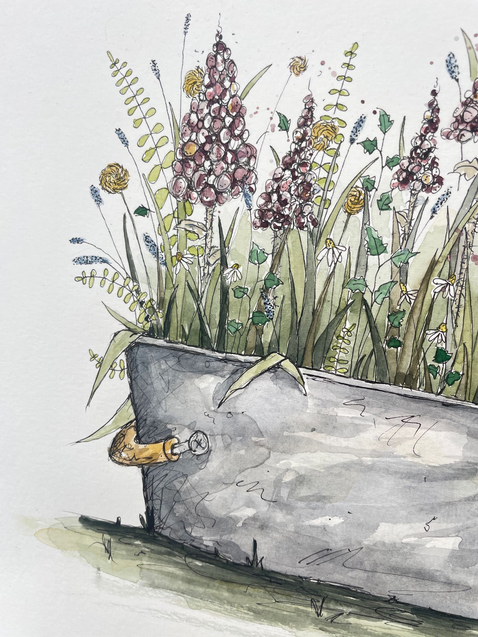 'Tin Bath'