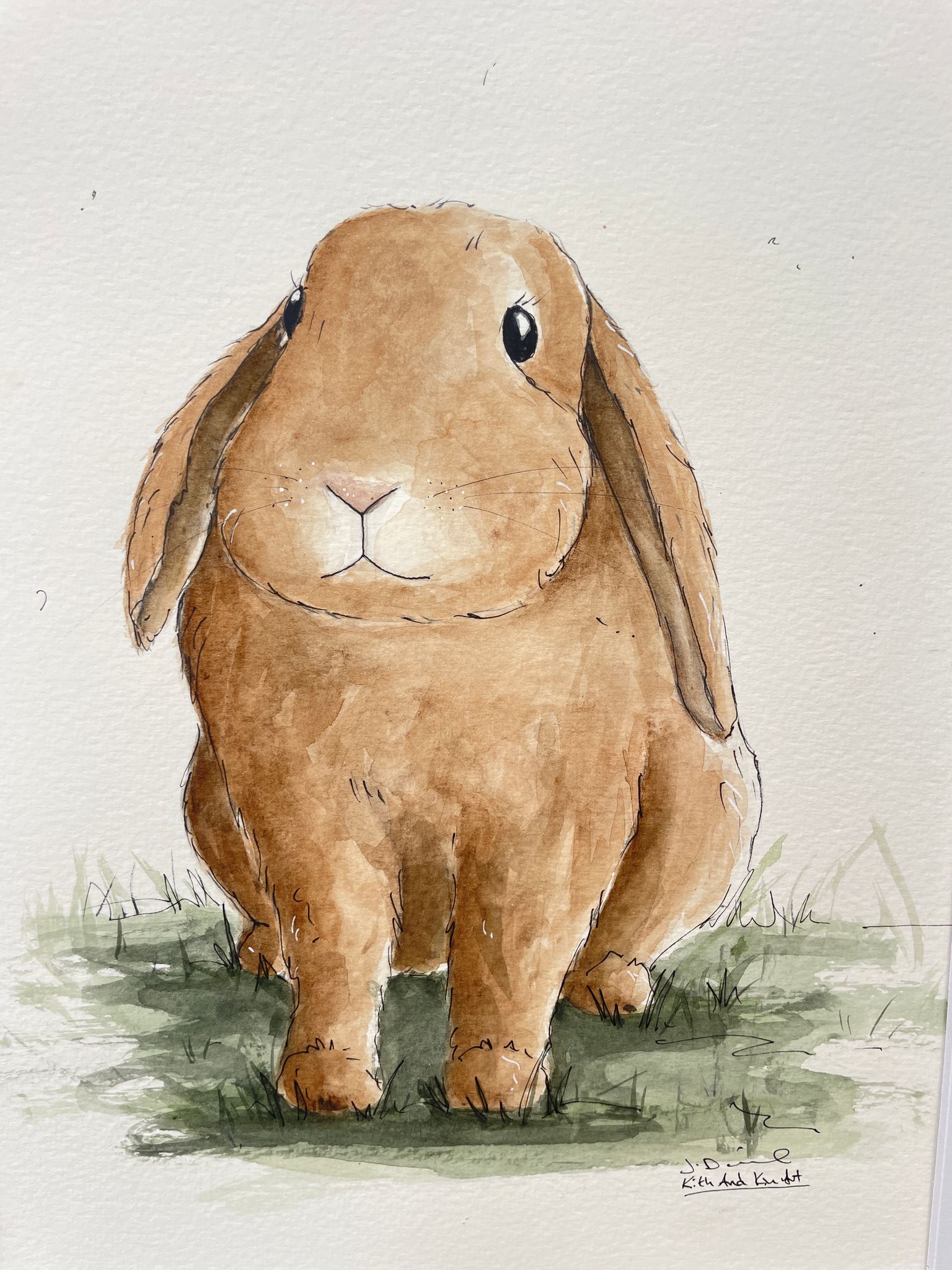 'Bunny Nose'